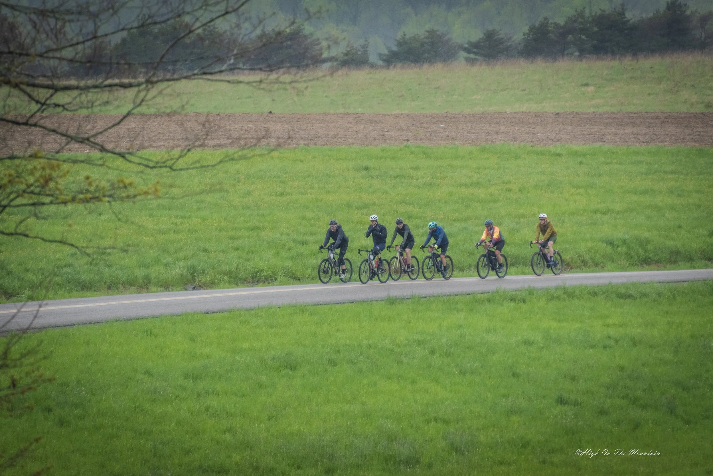 Six cyclists riding a road in a grassy countryside with trees and cloudy sky in the background.