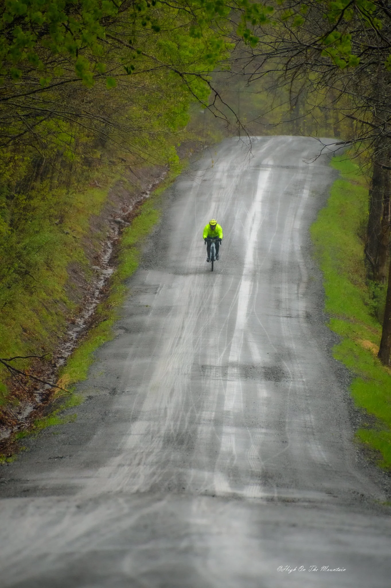 A person riding a bicycle on a wet, rainy road surrounded by green trees.