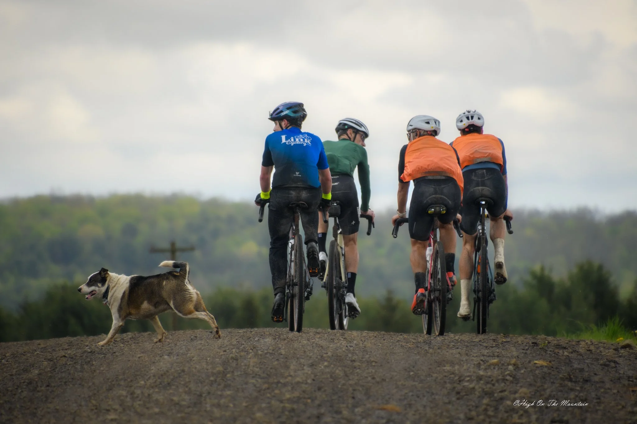 Four mountain bikers riding on a dirt trail with a dog running alongside them, under a cloudy sky.