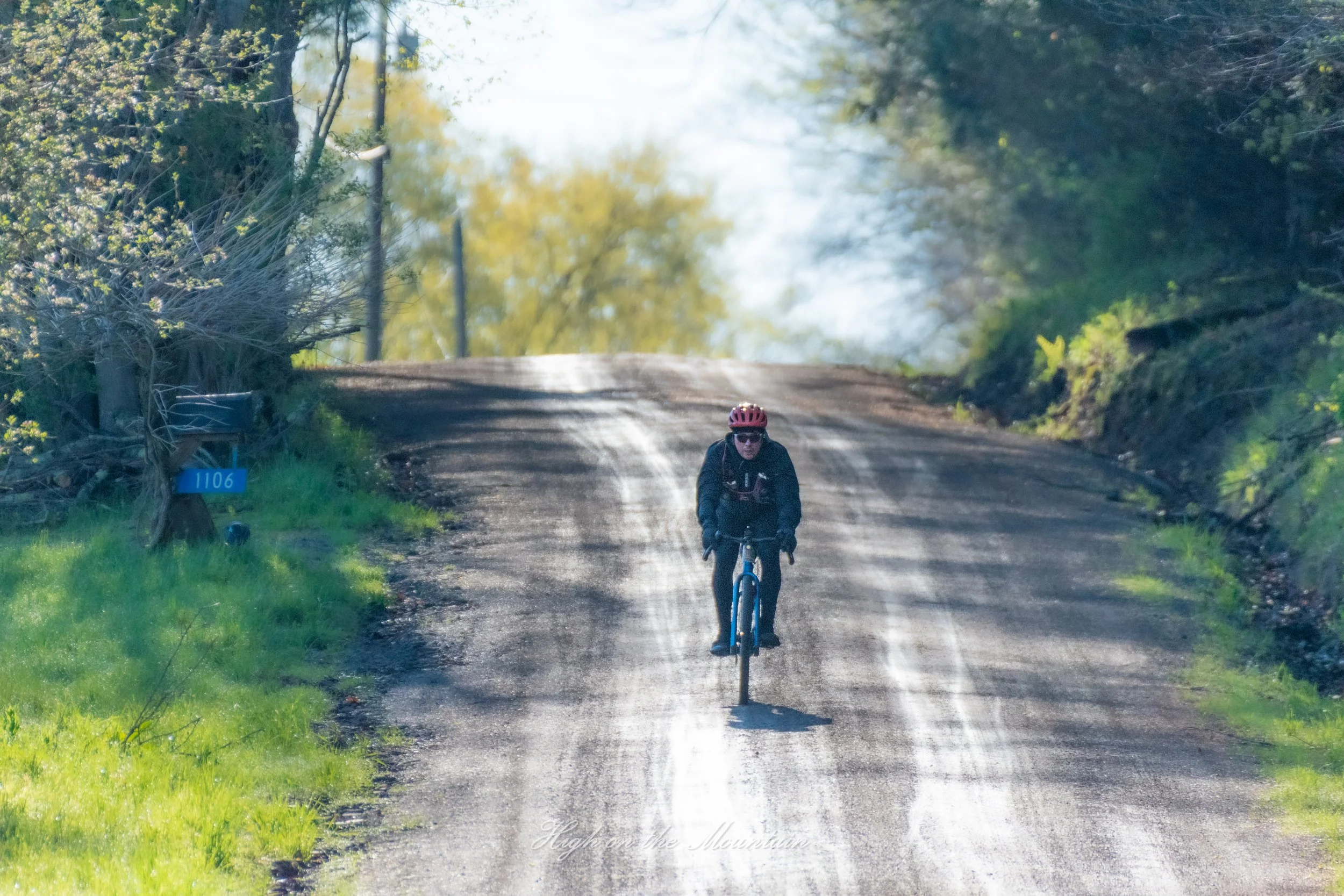 A person biking on a dirt path surrounded by green trees and grass on a sunny day.