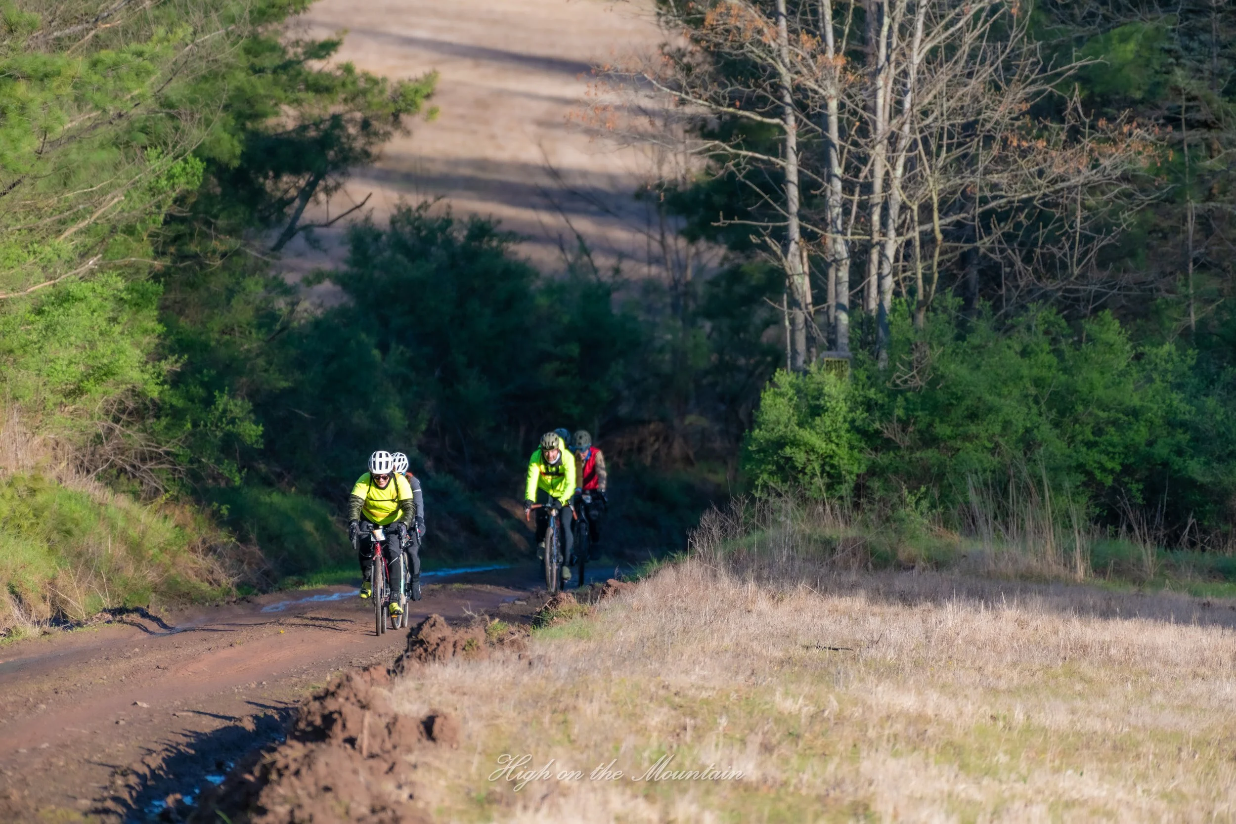 A group of cyclists riding on a dirt trail surrounded by trees in a natural setting.