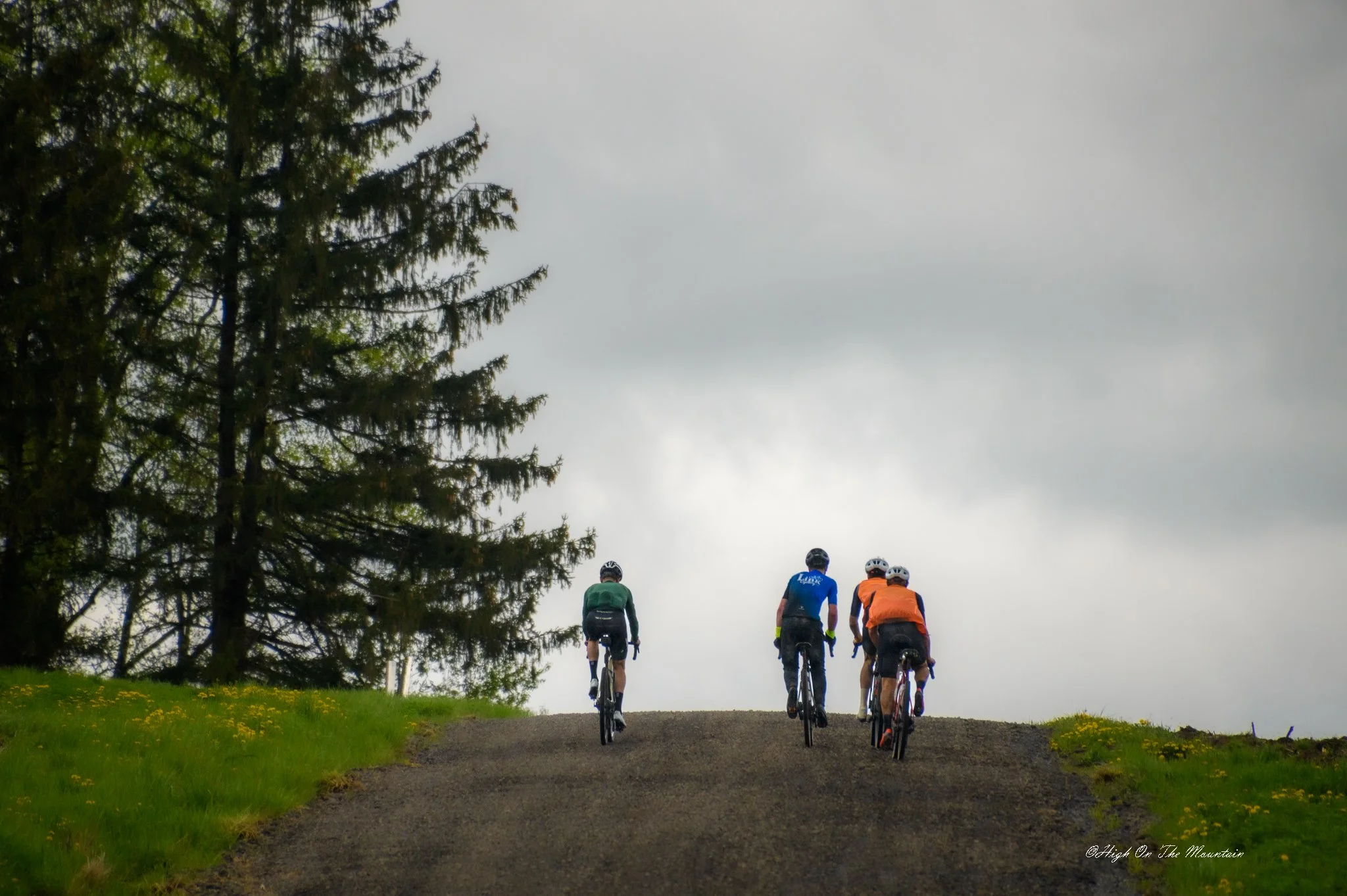 Four cyclists riding uphill on a dirt trail surrounded by grass, trees, and an overcast sky.
