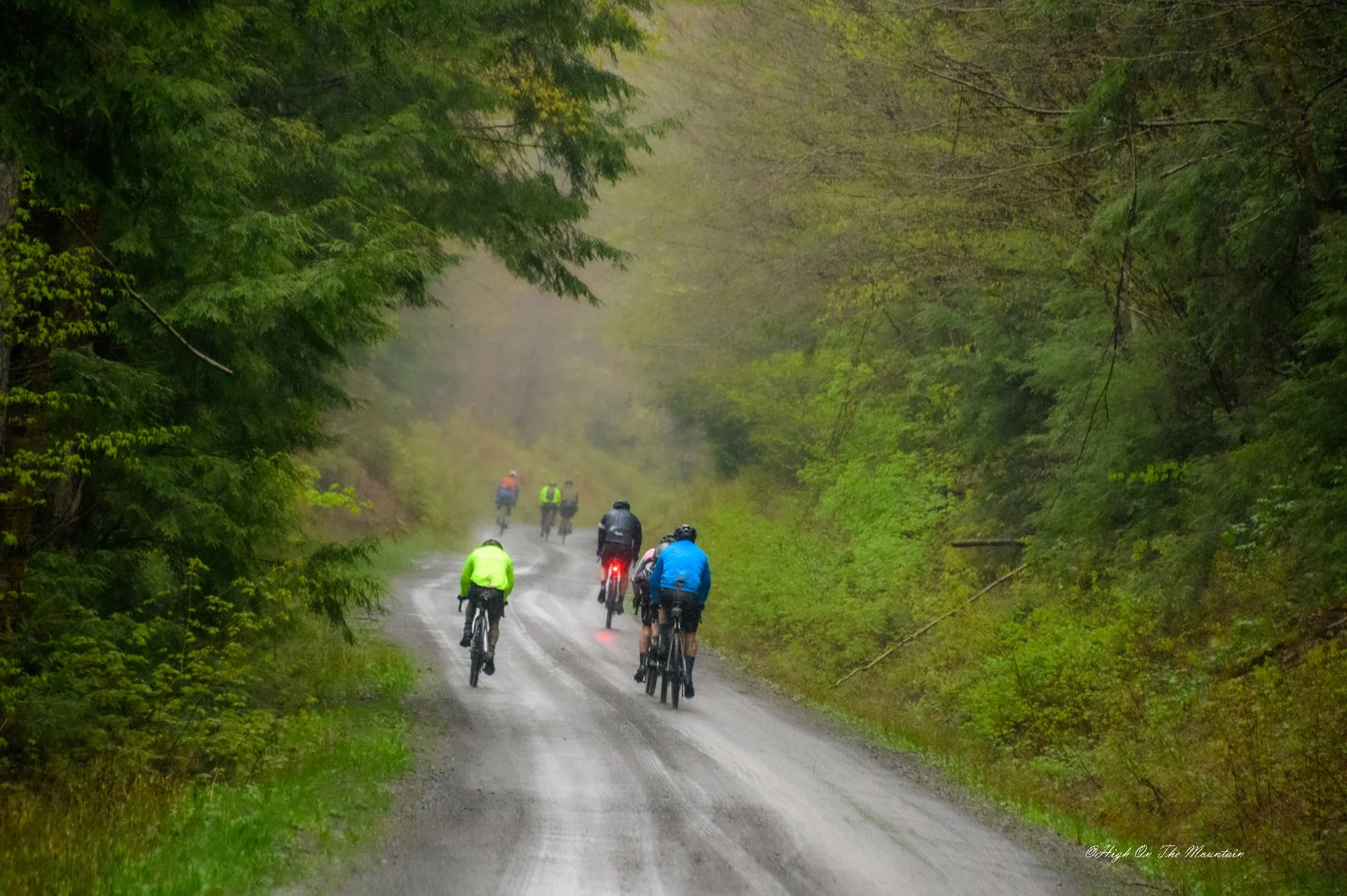 A group of bicyclists riding on a wet, gravel road surrounded by lush green trees on a foggy day.