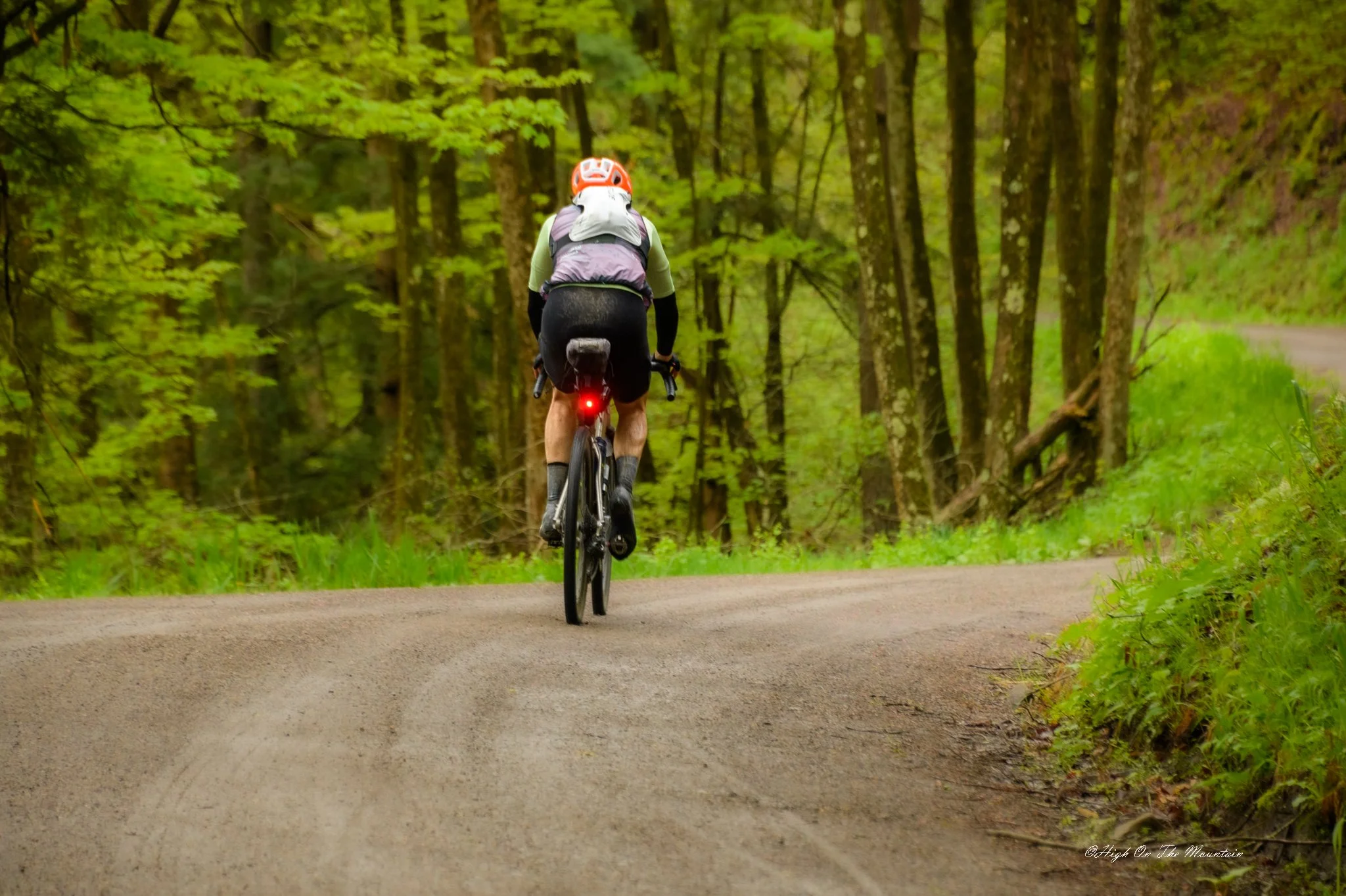 A person riding a mountain bike on a gravel path through a lush green forest, wearing a helmet, backpack, and cycling gear.