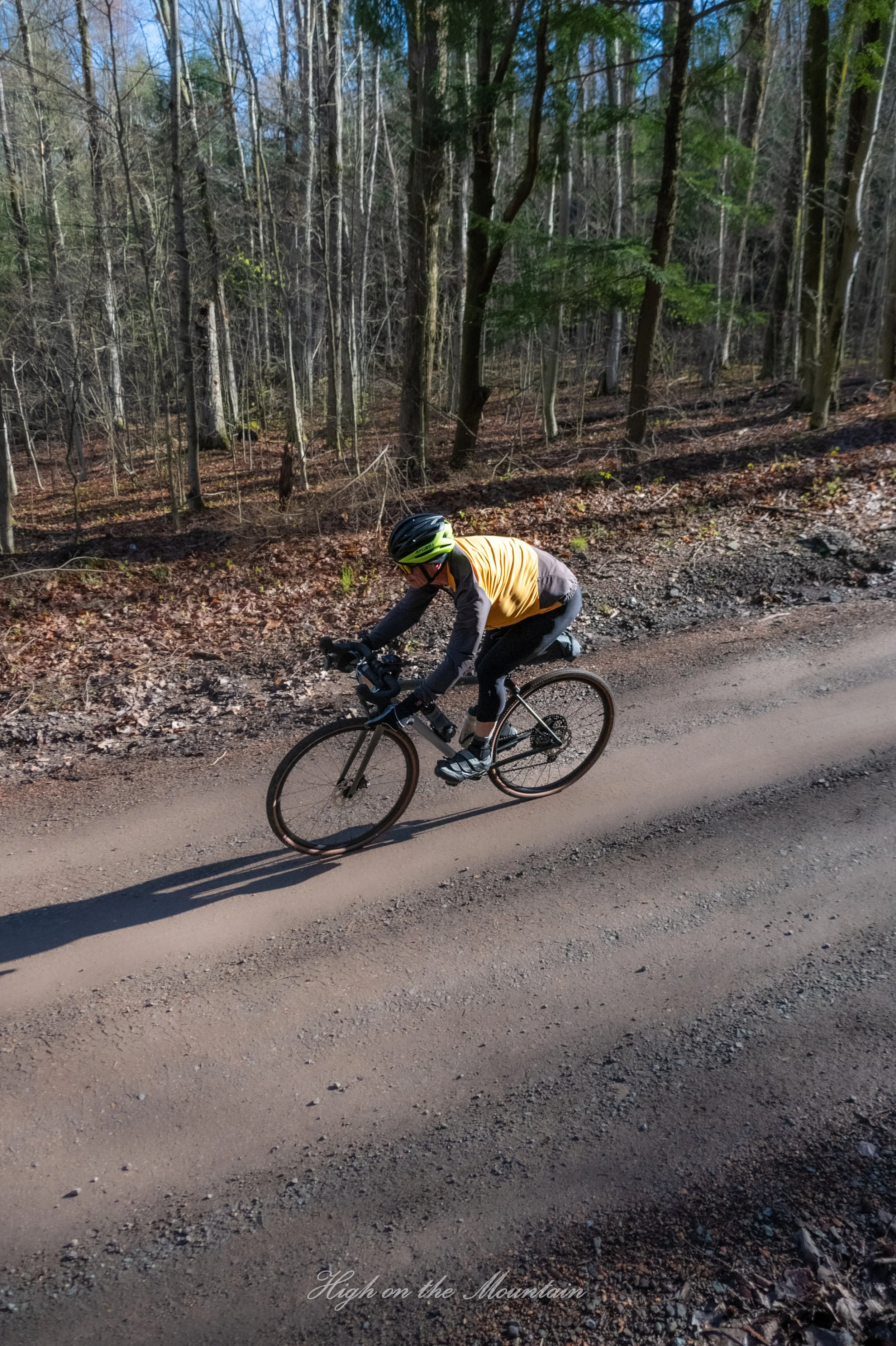 A person riding a bicycle on a dirt road through a wooded area with tall trees and some green foliage. The rider is wearing a helmet, sunglasses, and a yellow and black jacket.