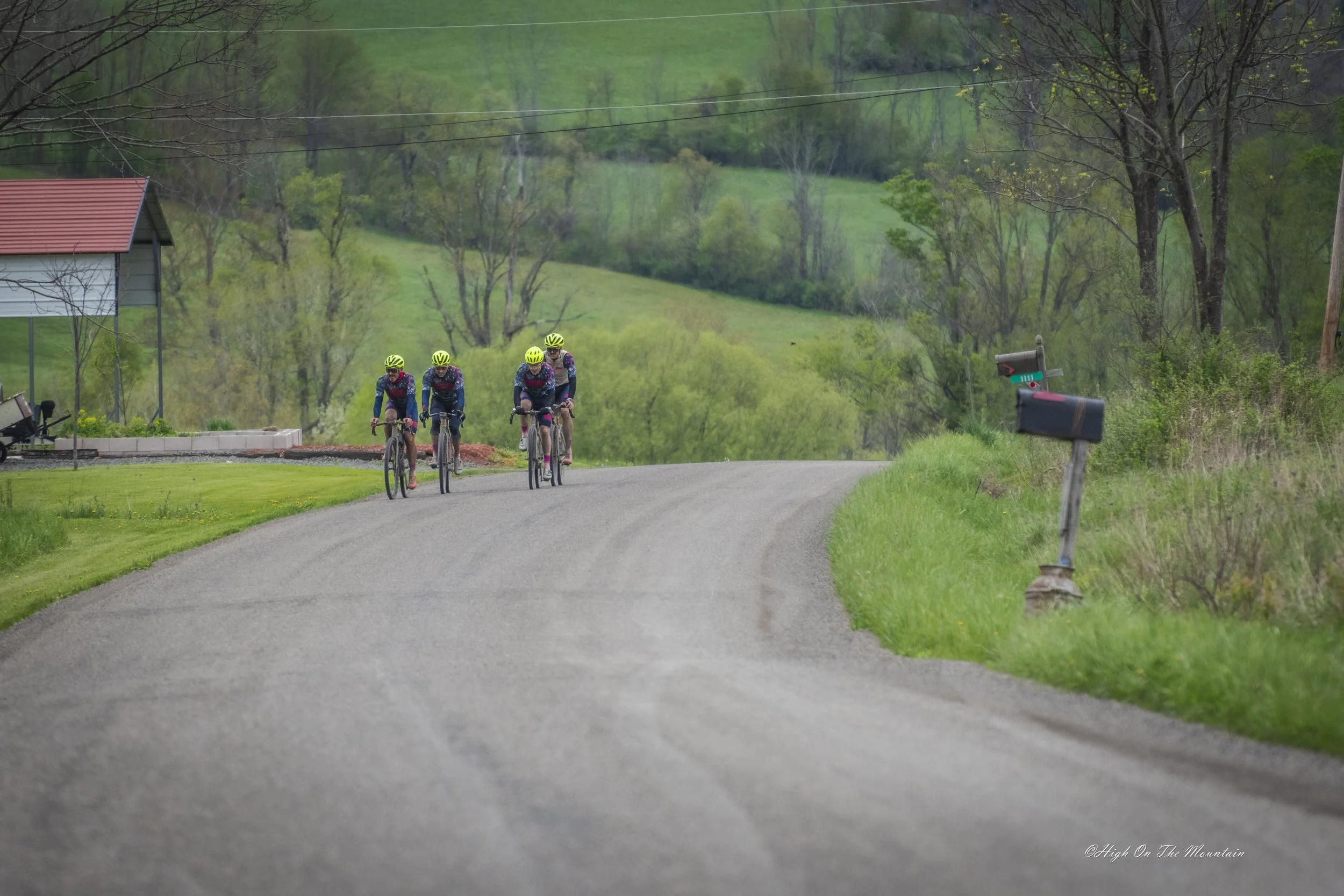 Four cyclists wearing yellow helmets riding on a rural road surrounded by green fields and trees.
