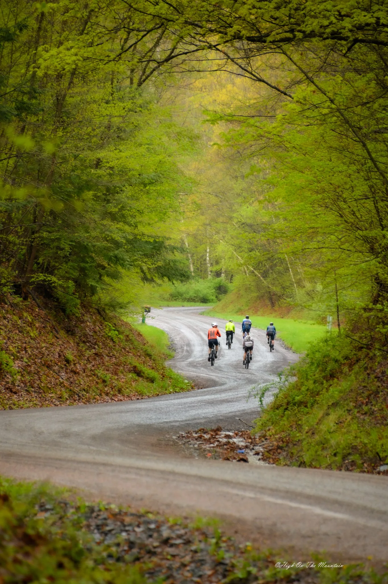 A group of five cyclists riding on a winding forest road surrounded by green and yellow leaves. The road is slightly wet, indicating recent rain, and the scene has a serene, natural atmosphere.