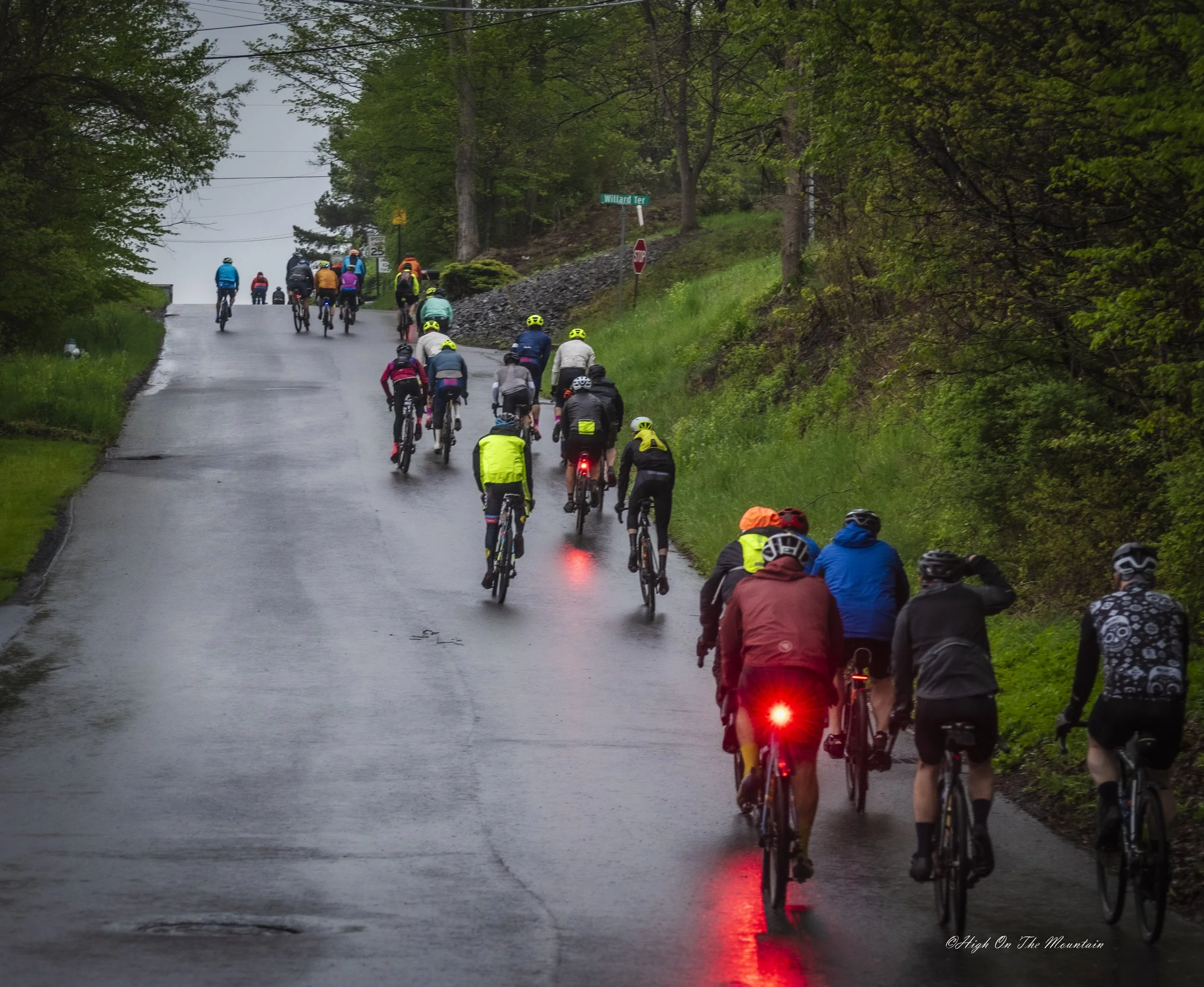 Group of cyclists riding on a wet road surrounded by green trees during overcast weather.