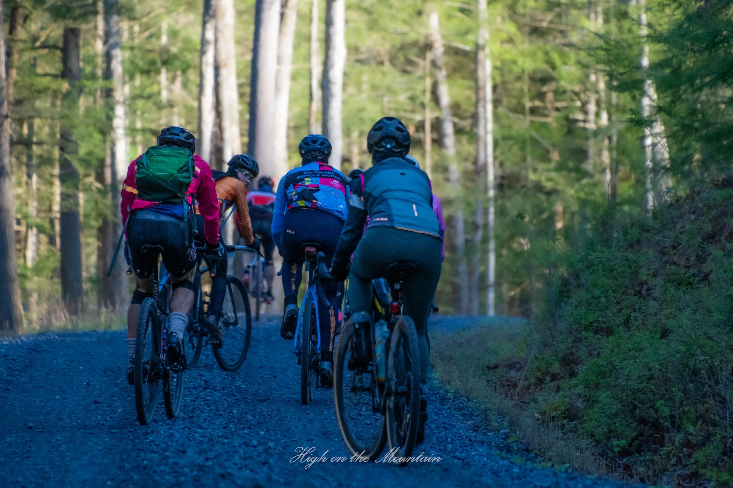 Group of mountain bikers riding on a forest trail surrounded by tall trees.