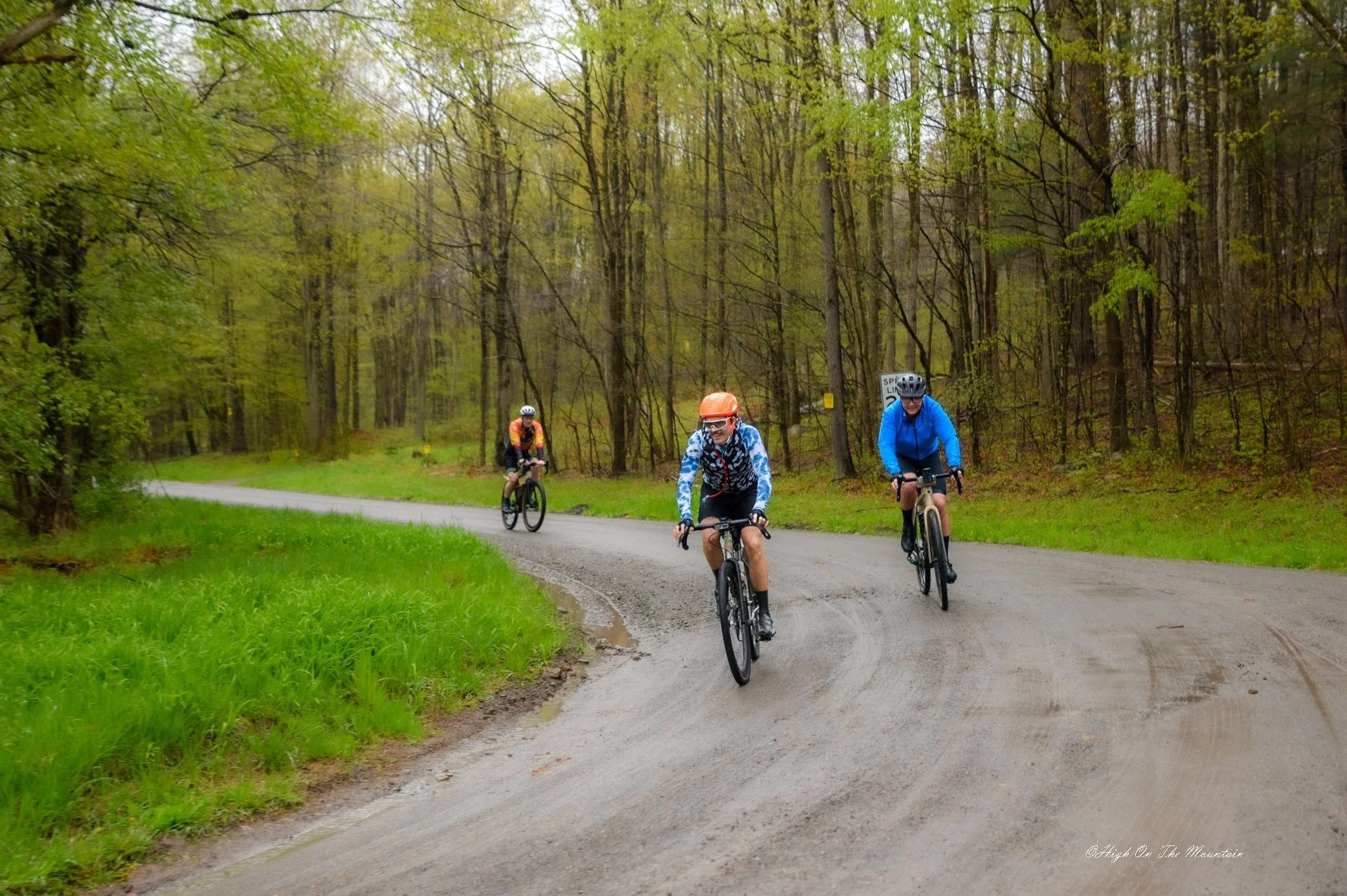 Three people riding bicycles on a winding forest trail, with lush green grass and tall trees with budding leaves.