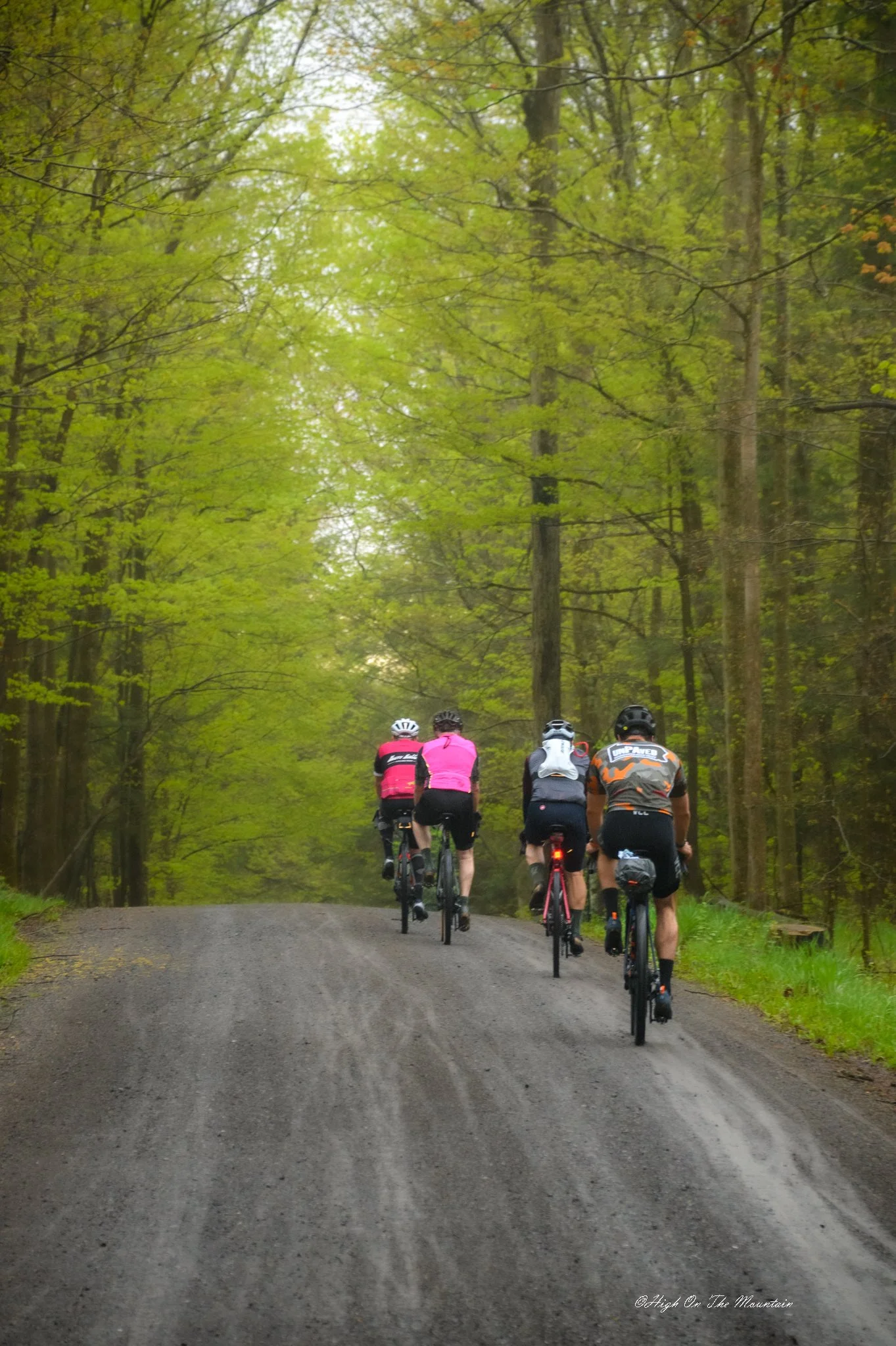A group of five cyclists riding on a dirt trail in a forest with tall green trees.