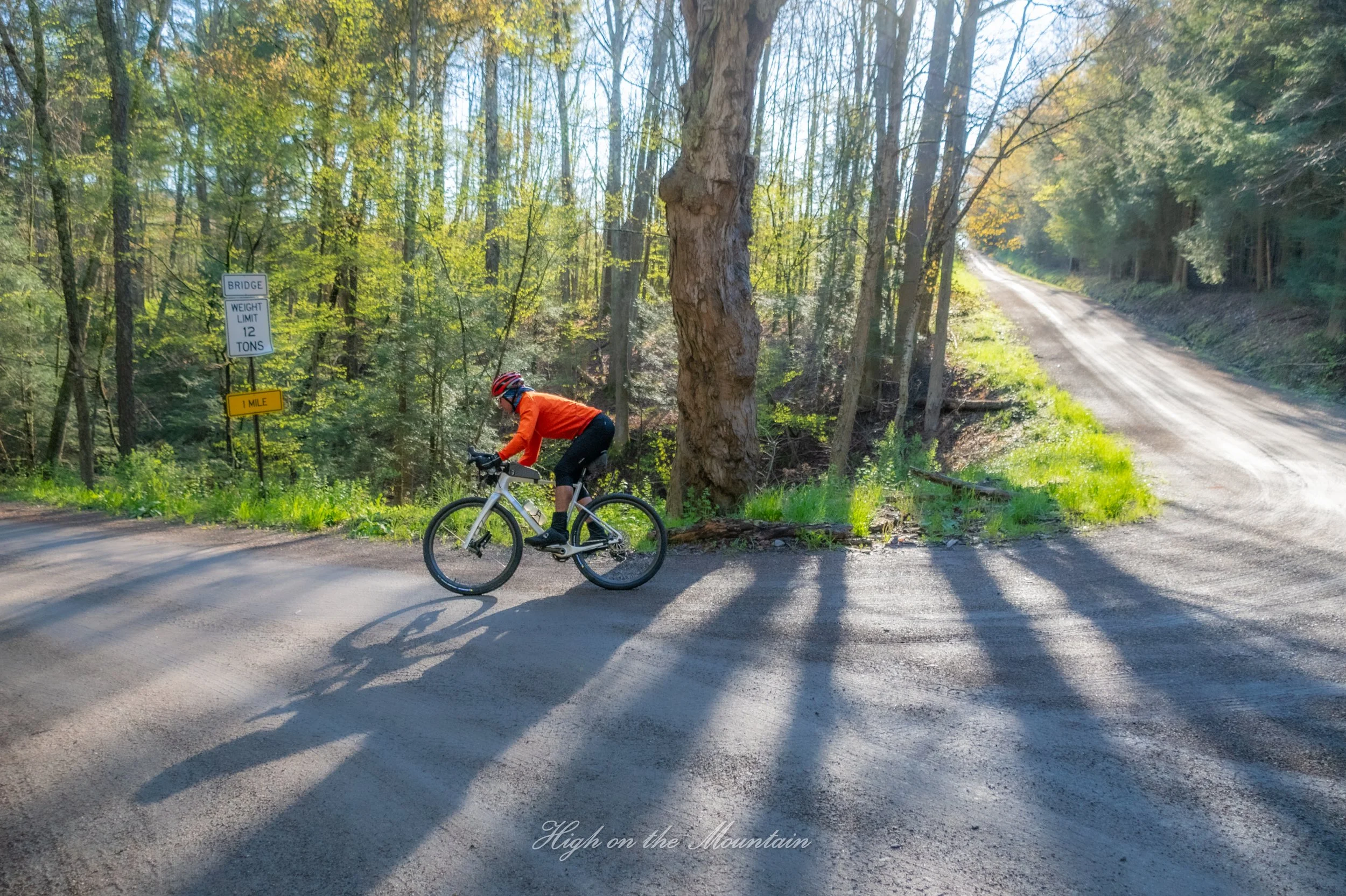 A person wearing an orange jacket and red helmet riding a mountain bike on a dirt road through a wooded area with tall trees and sunlight filtering through the leaves.
