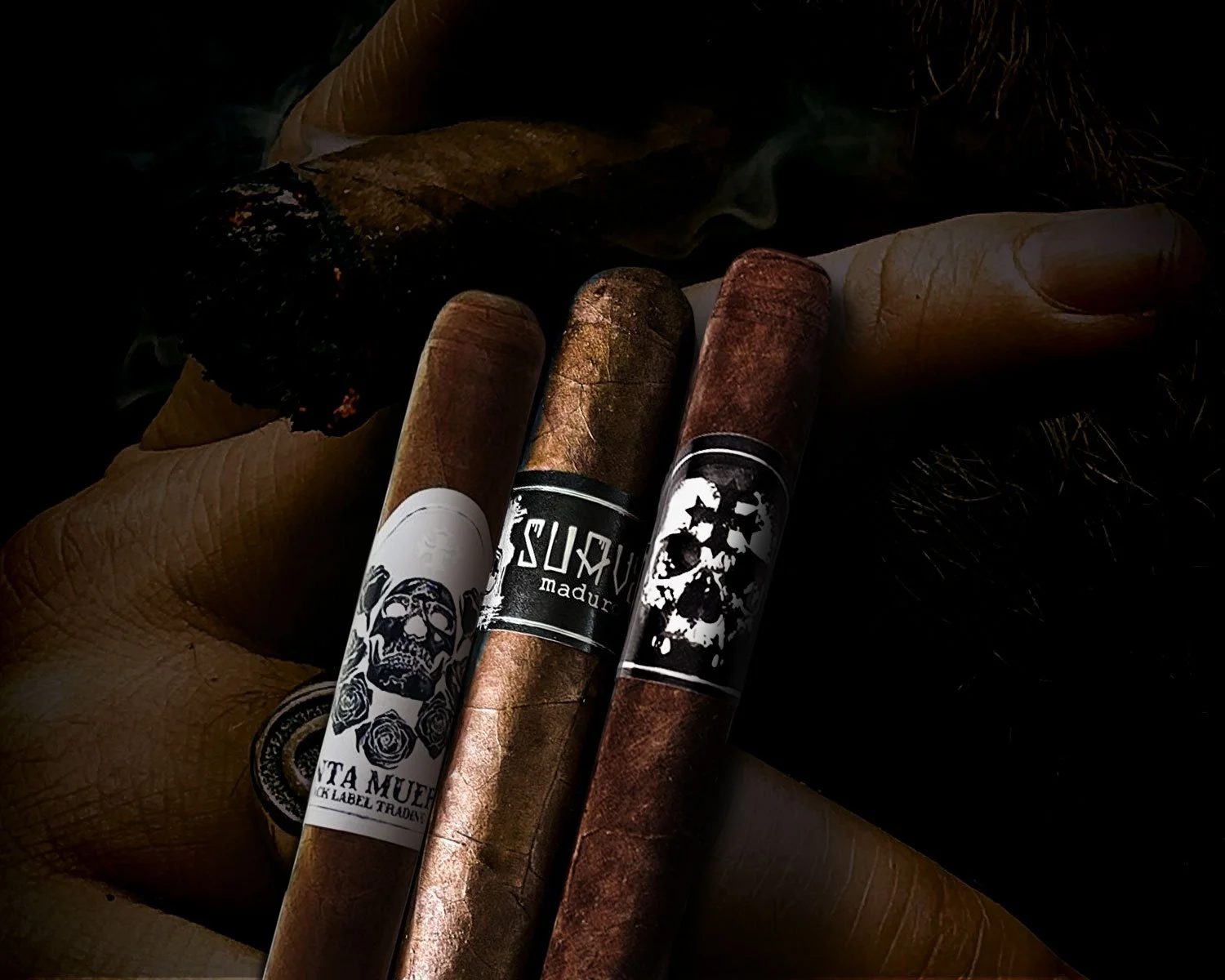 Blacksheep-Society-3Pack.jpg