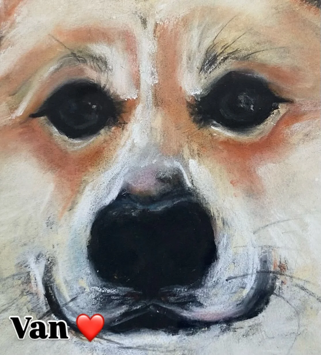 Van ❤️- petit chiot qui a rejoint les &eacute;toiles &hellip;🌟 Une envie de ressortir mes pastels secs pour lui rendre hommage 🥹❤️ #pastelsec #chiot #dog #art #amiti&eacute; #love #animaux