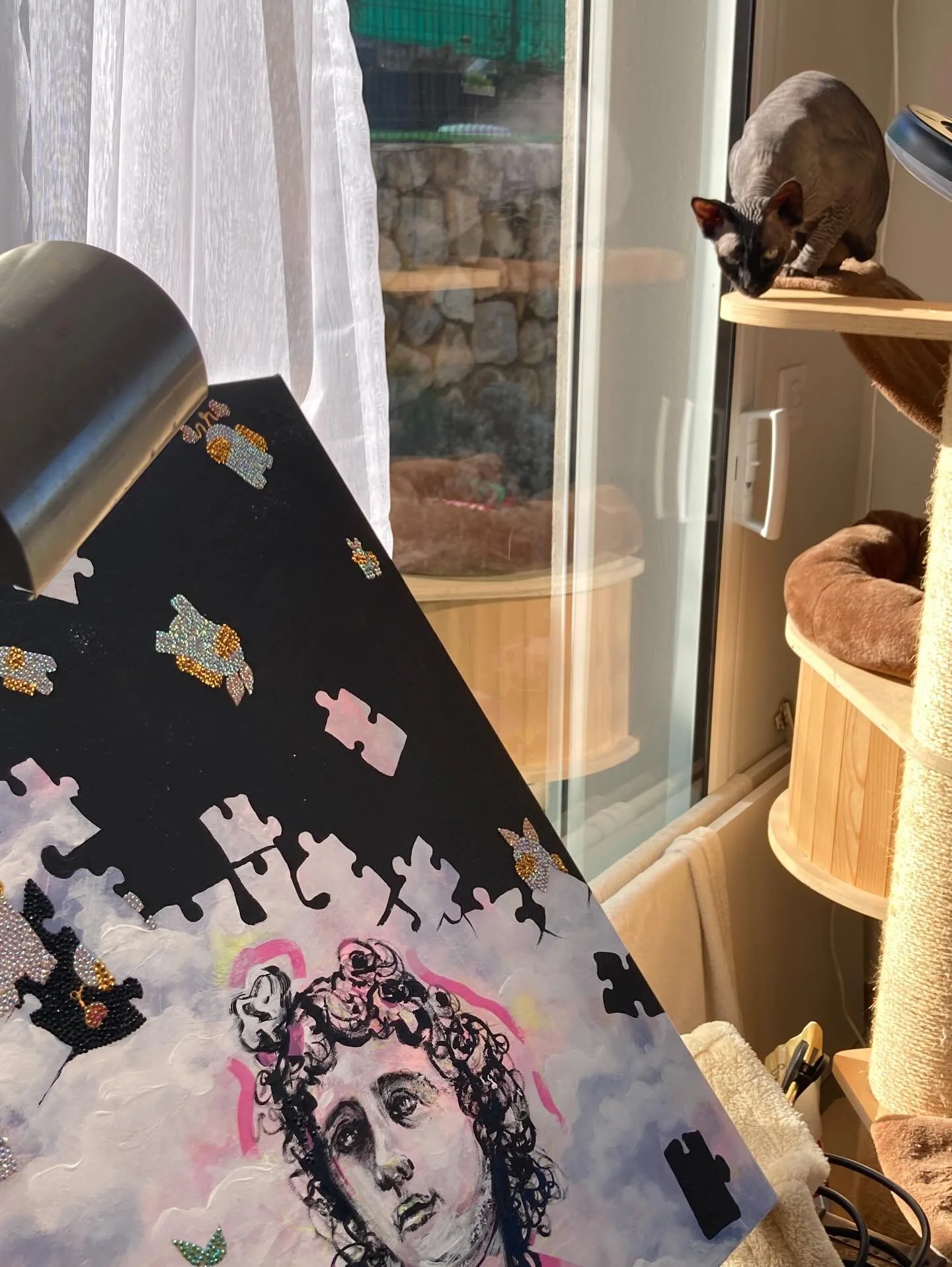 Mais qui surveille les petits imposteurs ??? lol et bien c est Satine 😻 elle est merveilleuse cette petite boule sans poils 😆🥰🤘🏻 #sphinx #sphynx #art #fun #imposteur