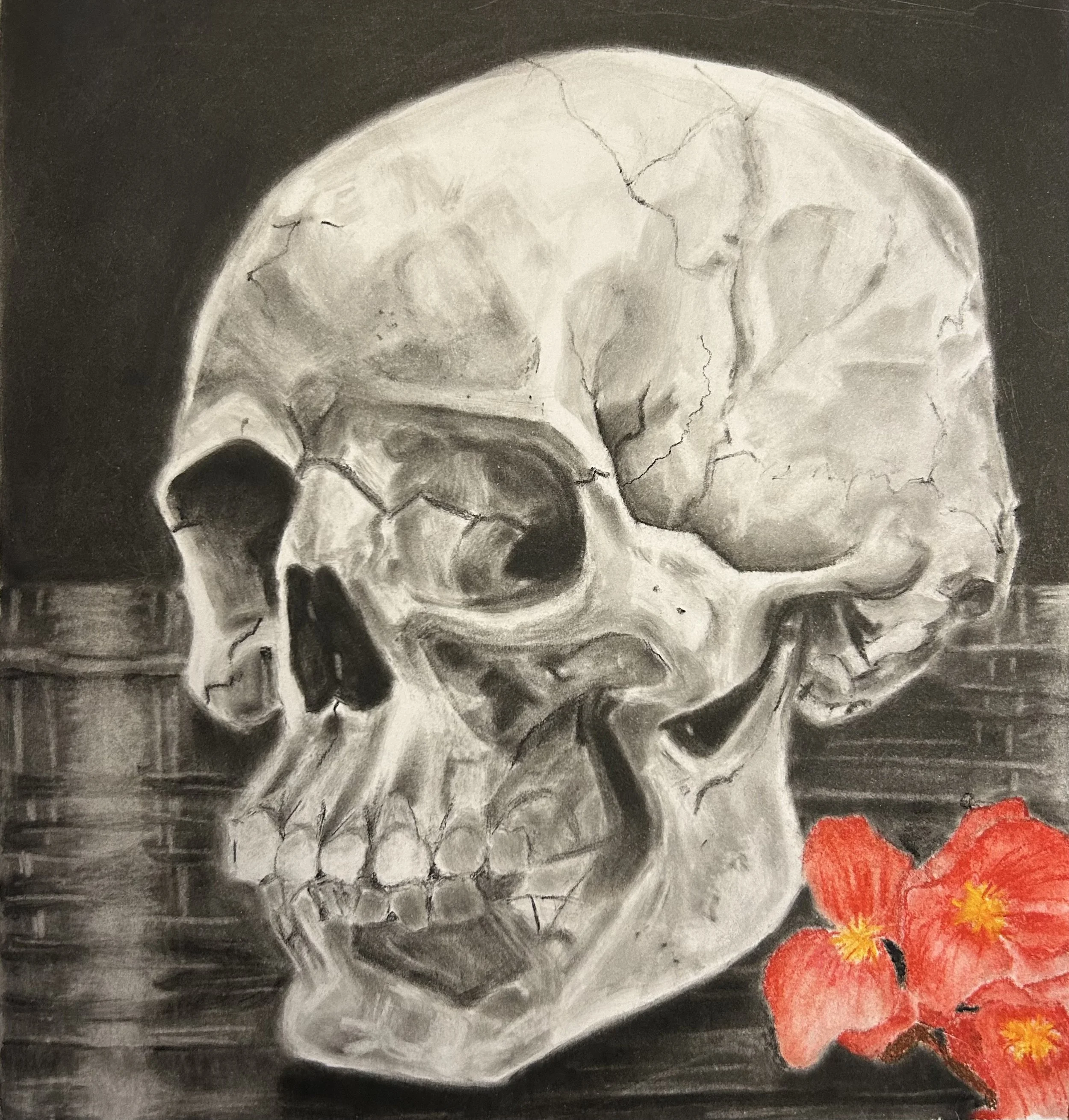An image representing my Agents and Assassins comic. The skull, the cracks, the black and white and red, the begonias, the hidden number, are all symbols. made with pan pastel and chalk pastel. 