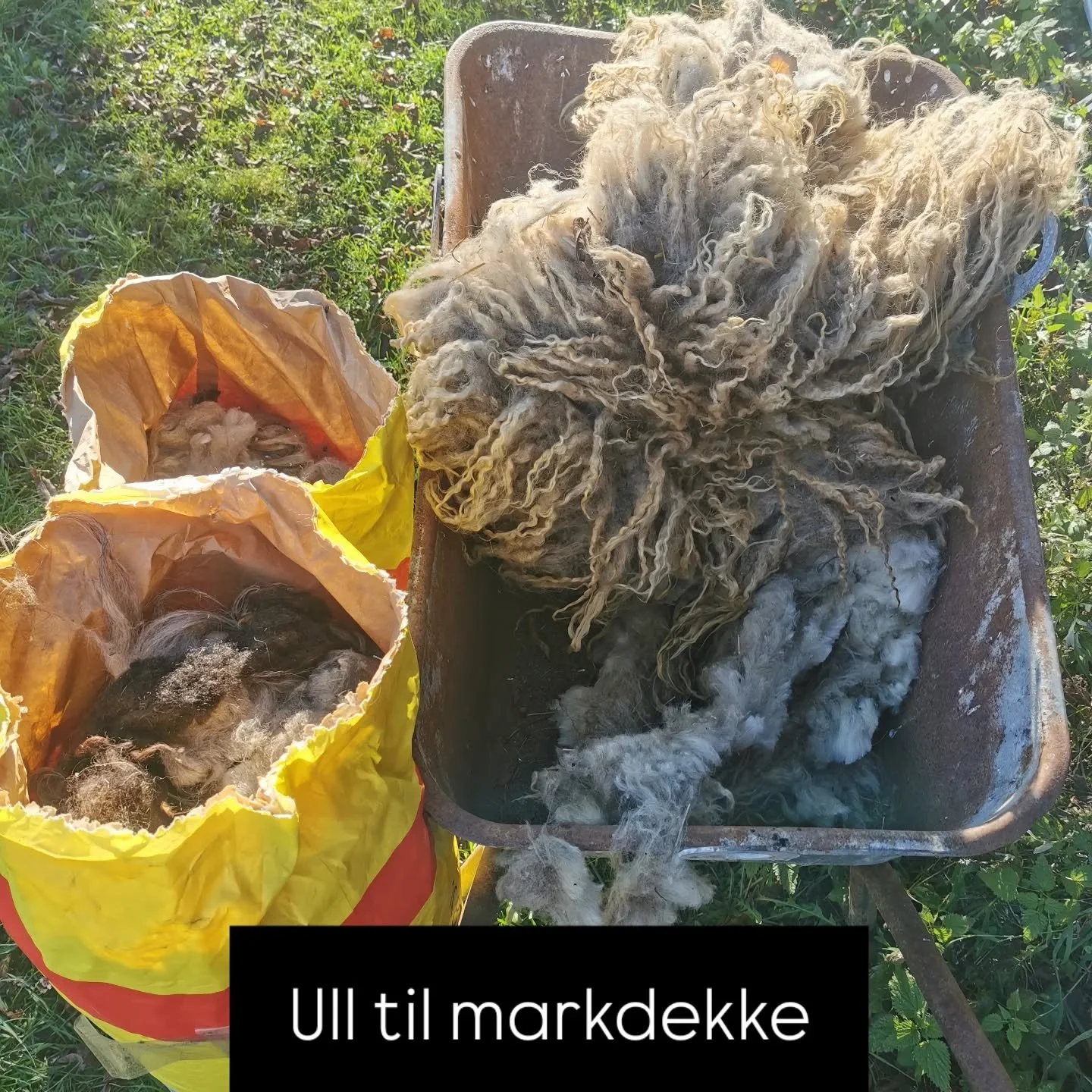 Ull isolerer jorden og beskytter r&oslash;ttene mot lave temperaturer og frostskader 

Ull kan hindre at ugressfr&oslash; spirer og etablerer seg, noe som reduserer luking.&nbsp;

Over tid brytes ulla ned og frigj&oslash;r n&aelig;ringsstoffer, samti