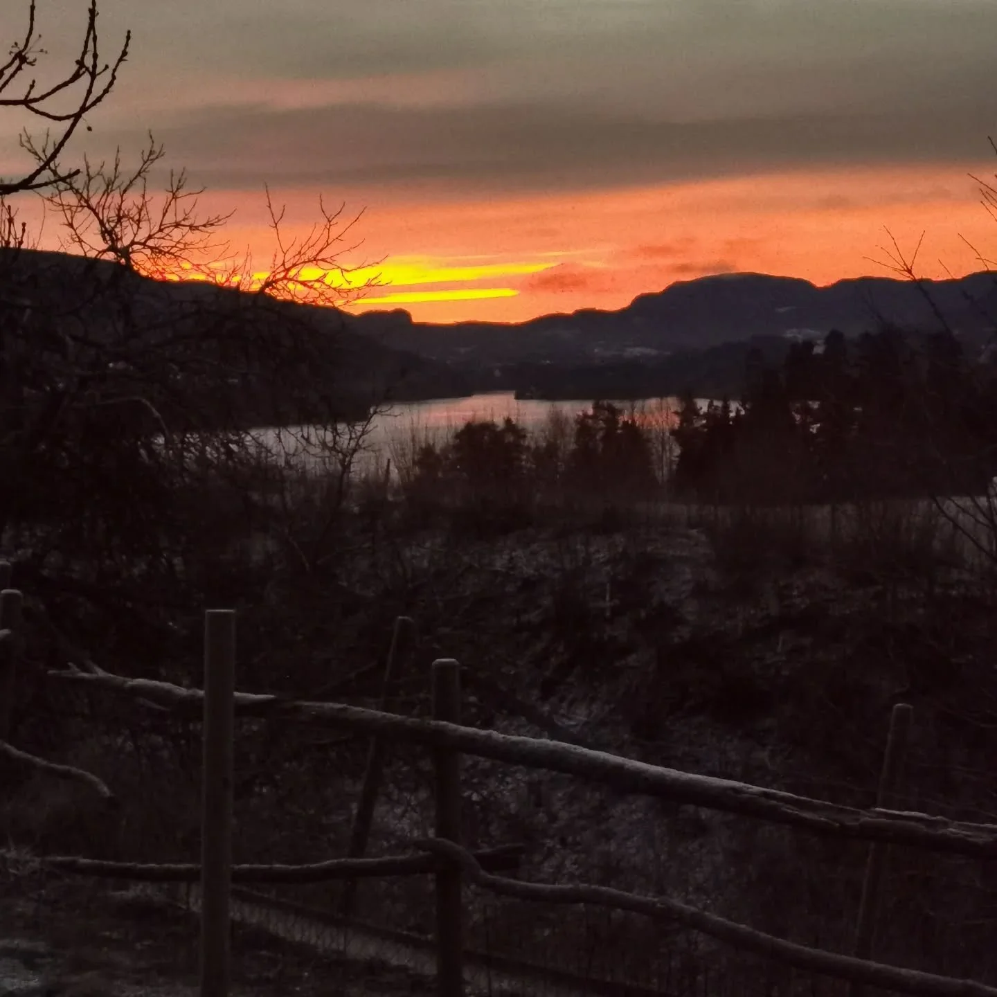 Dette &aring;ret g&aring;r mot slutten, og vi vil bruke anledningen til &aring; si tusen, tusen takk til alle dere som har fulgt oss, handlet hos oss og heiet p&aring; lokal mat og lokal drift&nbsp;💛

2025 har v&aelig;rt et &aring;r med utvikling, l