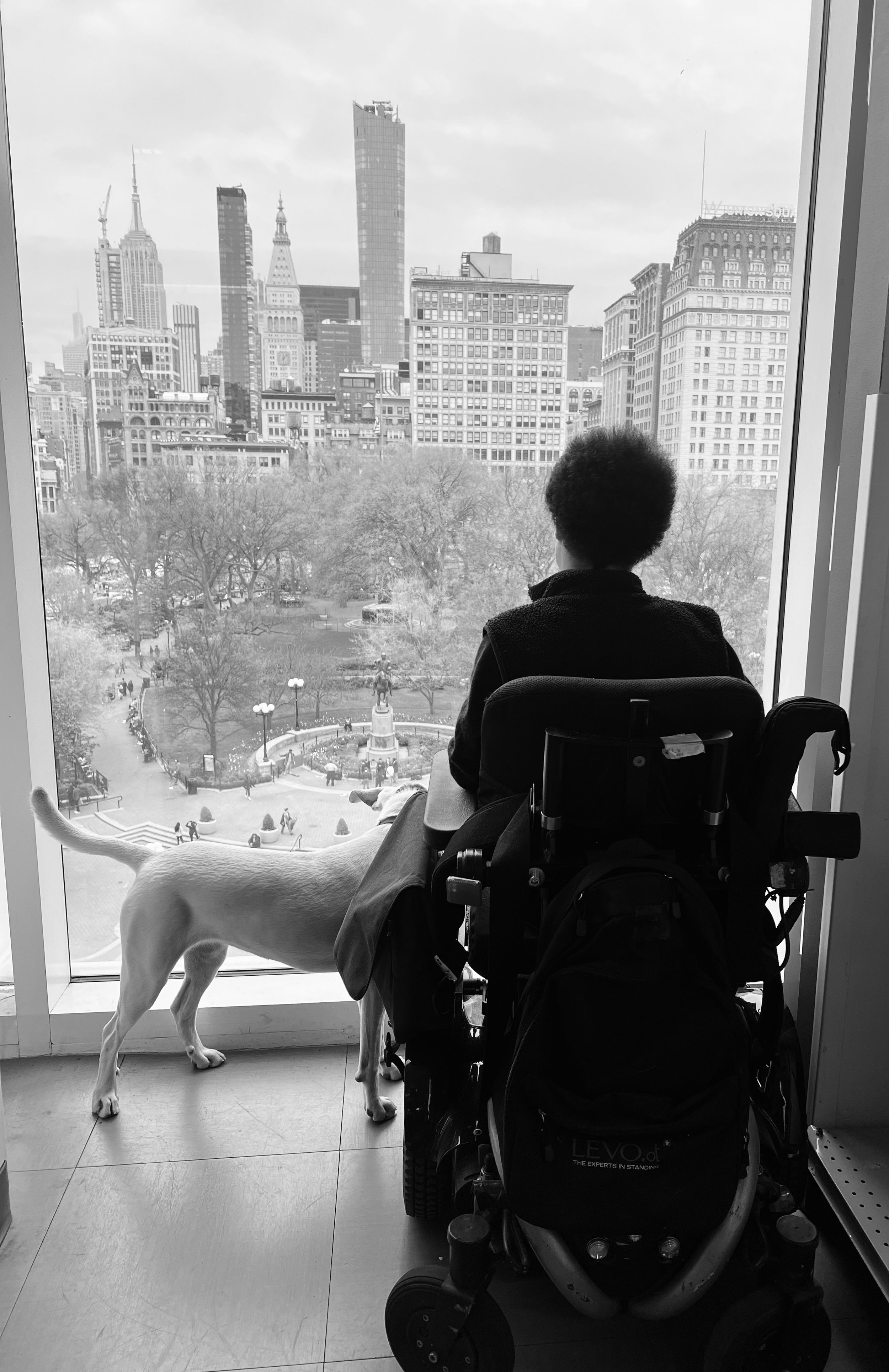 Starting Over: My Journey Back to NYC