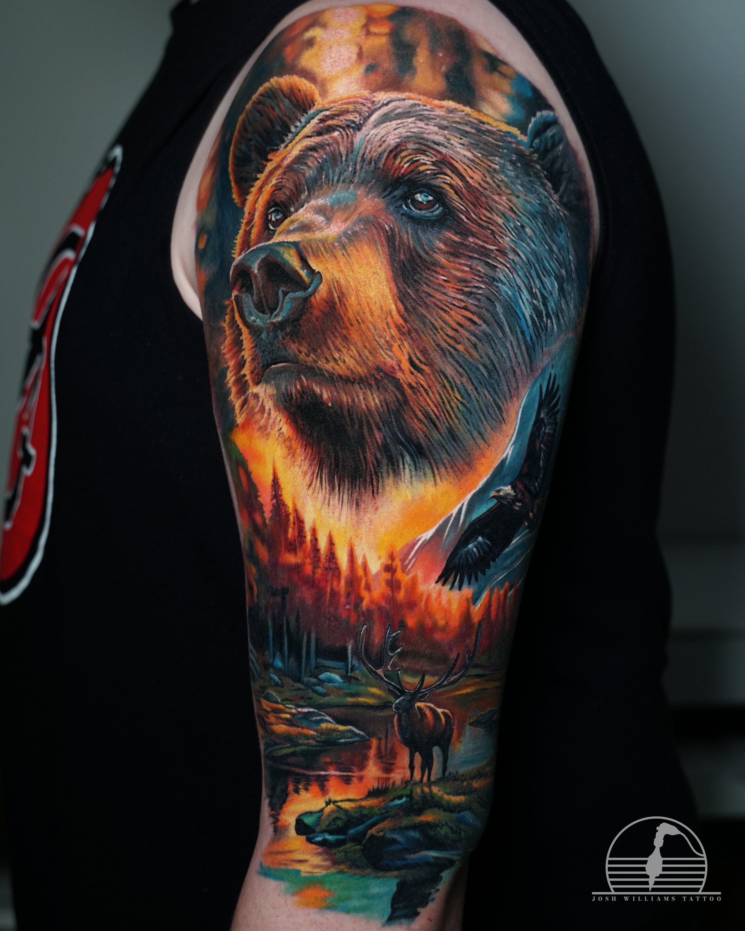Artist - Josh Williams