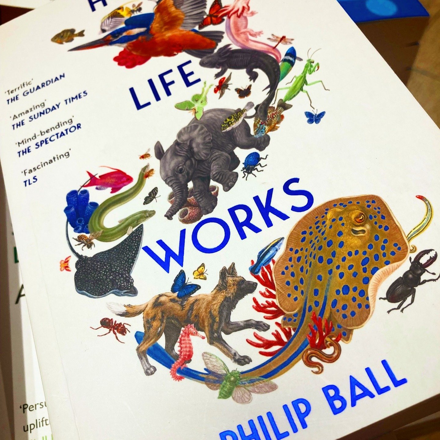 Blurbs in the wild: Popular science books are often a game of two halves: part history to get readers up to speed, part speculation around recent discoveries. The blurb for @picadorbooks and Philip Ball's How Life Works perfectly illustrates this wit