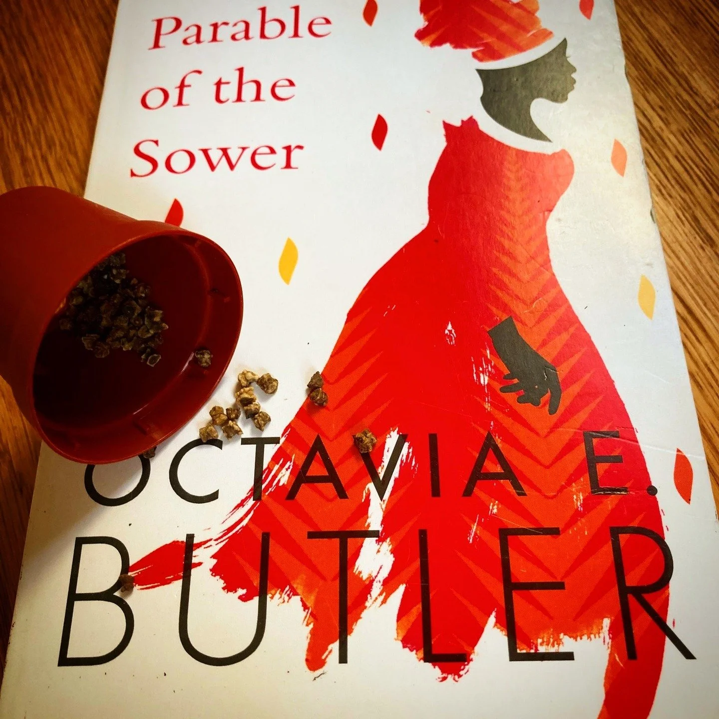 A name and a place. The blurb for @headlinebooks and @octaviaebutler Parable of the Sower is light on specific detail: just a character, Lauren, and a country, America. The world is broken, we are told, but she has both power and vision. This is blur