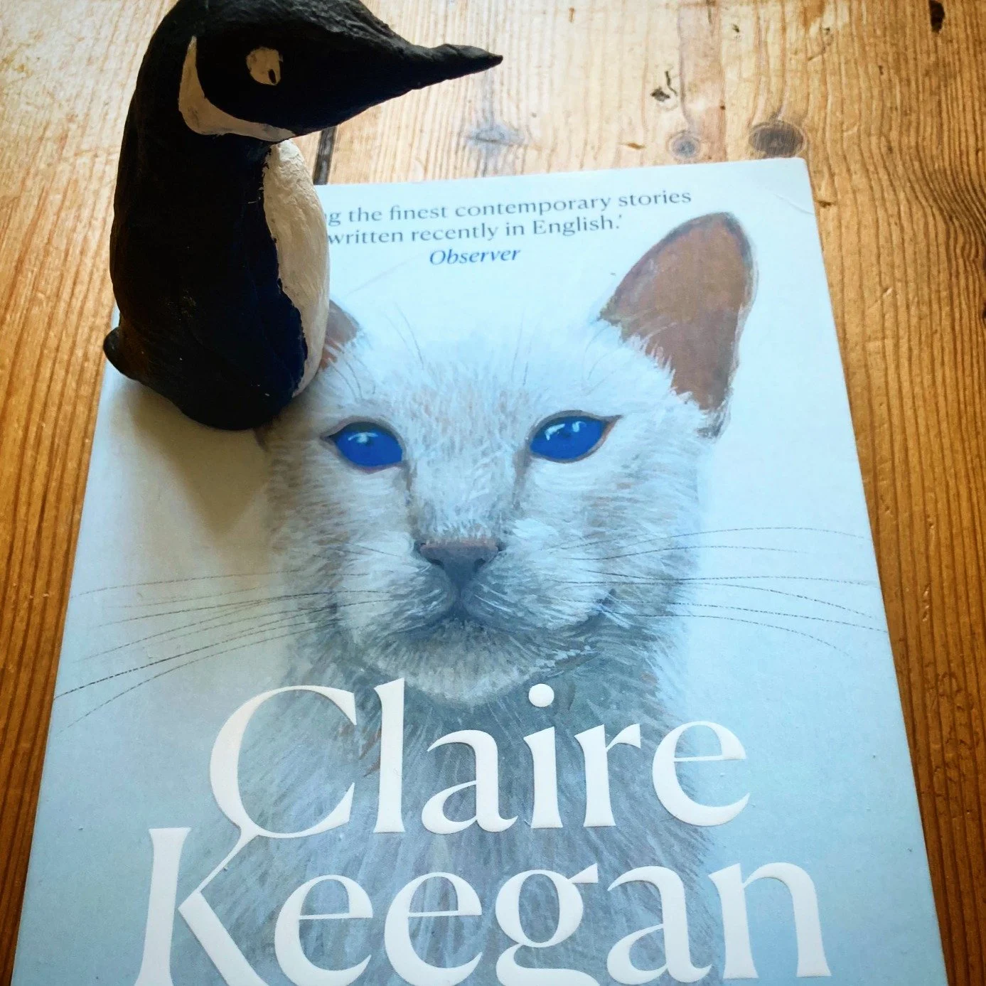 Tantalise and be bold. Most publishers would wax lyrical over an author's short story collection, giving it the works, like the salesman who thinks that if he can only keep you talking he's still got a chance of making the sale. Not true. 
In @faberb