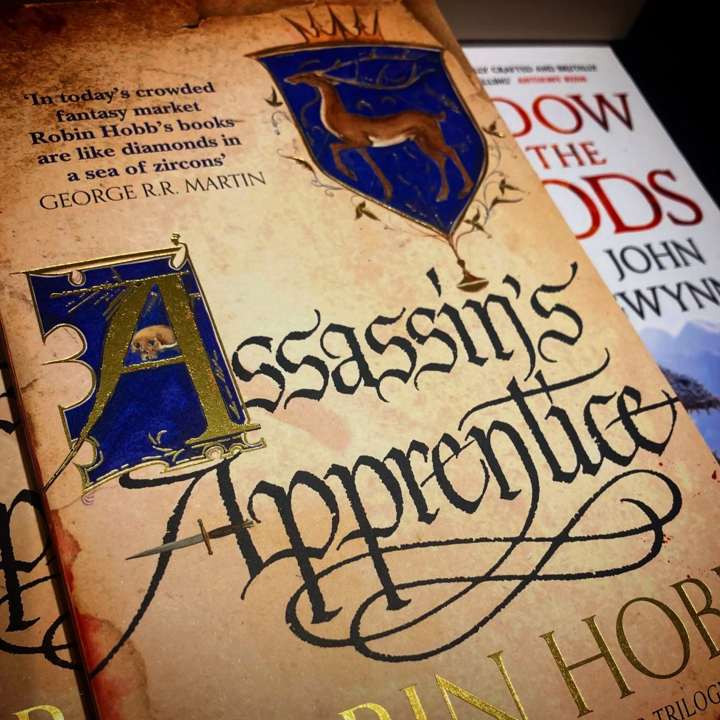 Blurbs in the wild: The secret here is in the middle. Most blurb writers (myself included, I suspect) would pitch @harpervoyager_uk and @therealrobinhobb Assassin's Apprentice with just paragraphs 1 and 3 of this blurb. Pitch the set up, the characte