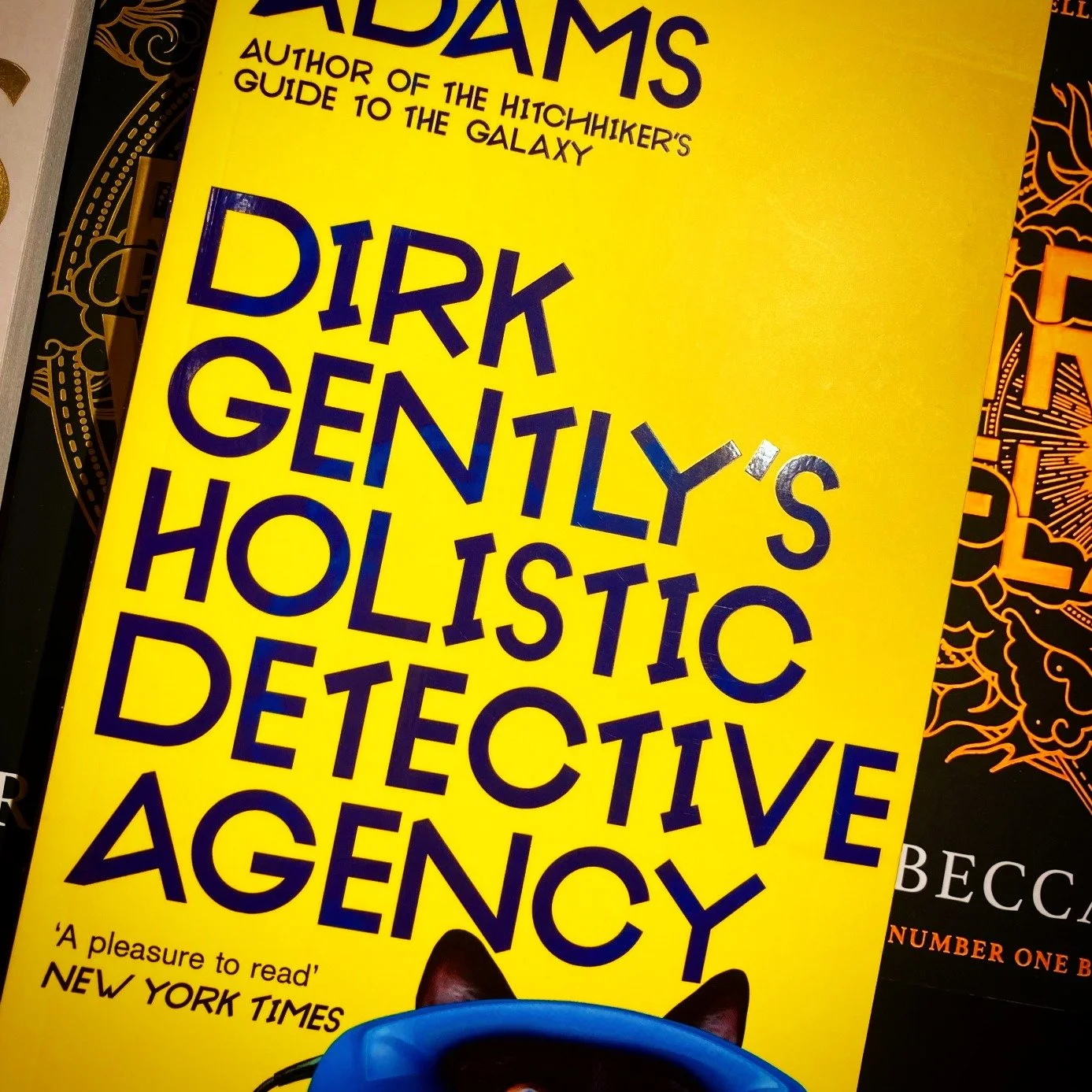 Blurbs in the wild: @panmacmillan know how to have fun with a funny book. 

First, we have two increasingly ridiculous lists &ndash; the first list asking a question (what do these things have in common?) and the second list (deliberately over-deploy