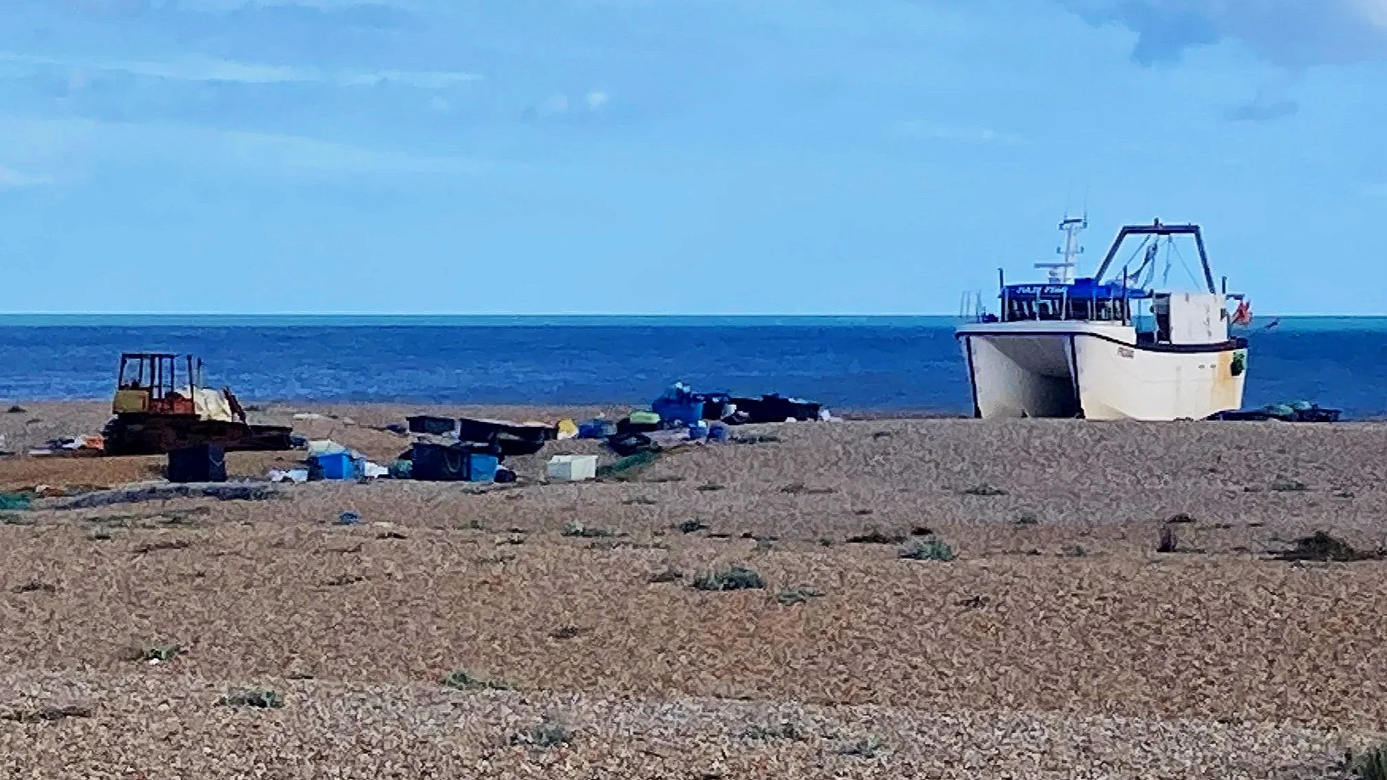 Imagining the future