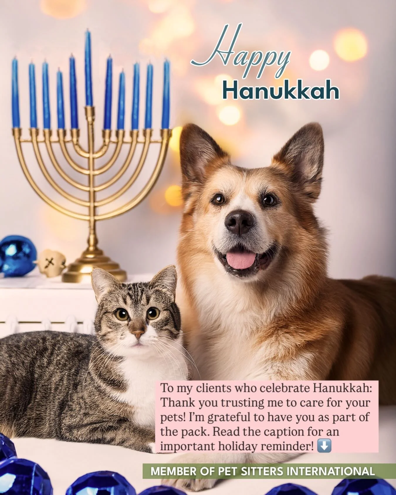 Don&rsquo;t let food ruin your pet&rsquo;s holiday! Food is a culprit for some of the most common holiday pet emergencies. 

Be cautious of the following of offering bread dough, latkes, and sufganiyot to your pets. Here&rsquo;s why&hellip;

🍞 Bread