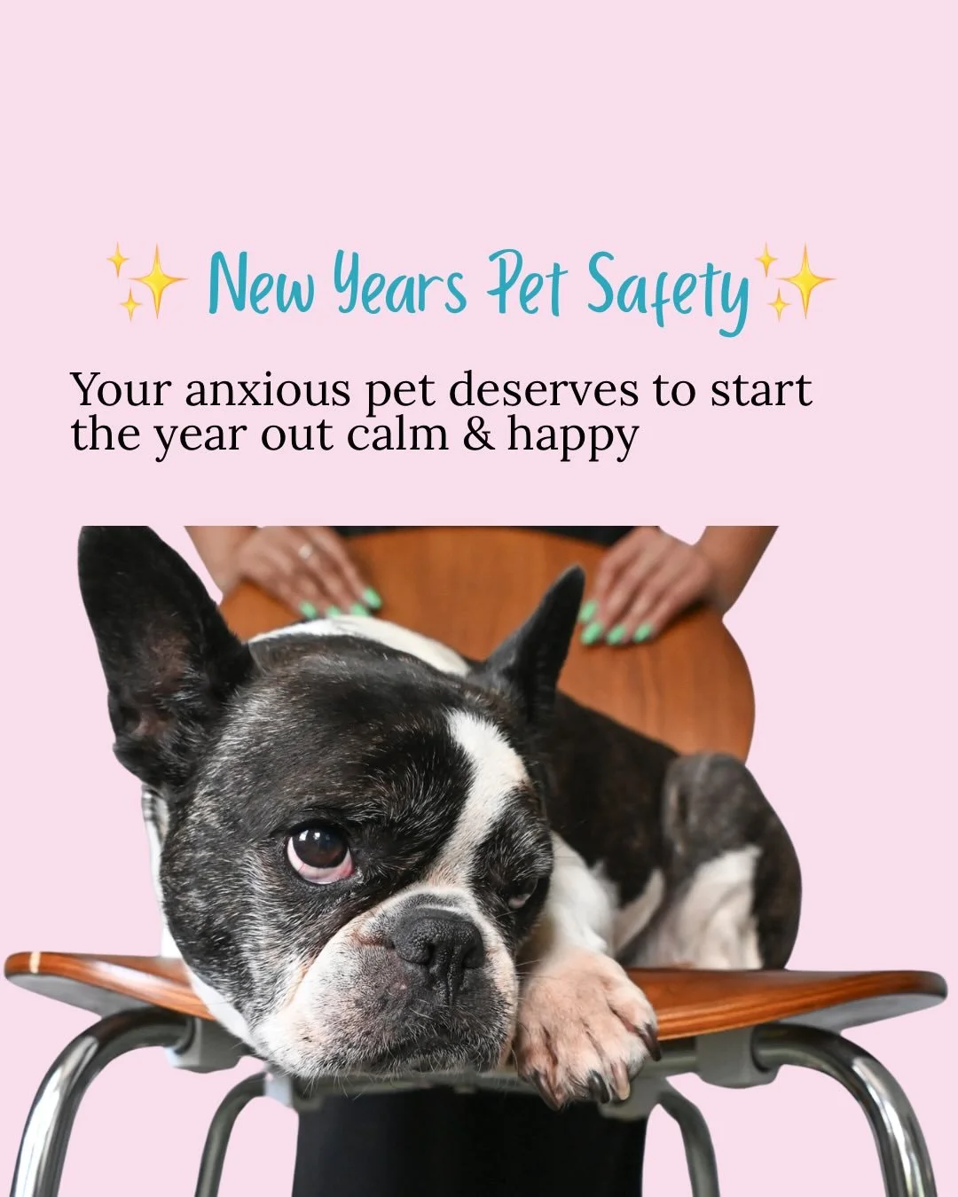 ✨ New Year&rsquo;s Eve is magical for people&hellip; but overwhelming for pets.

Fireworks, loud voices, late nights, and routine changes can send anxious pets into full survival mode, even the ones who usually &ldquo;do fine.&rdquo;

That&rsquo;s wh