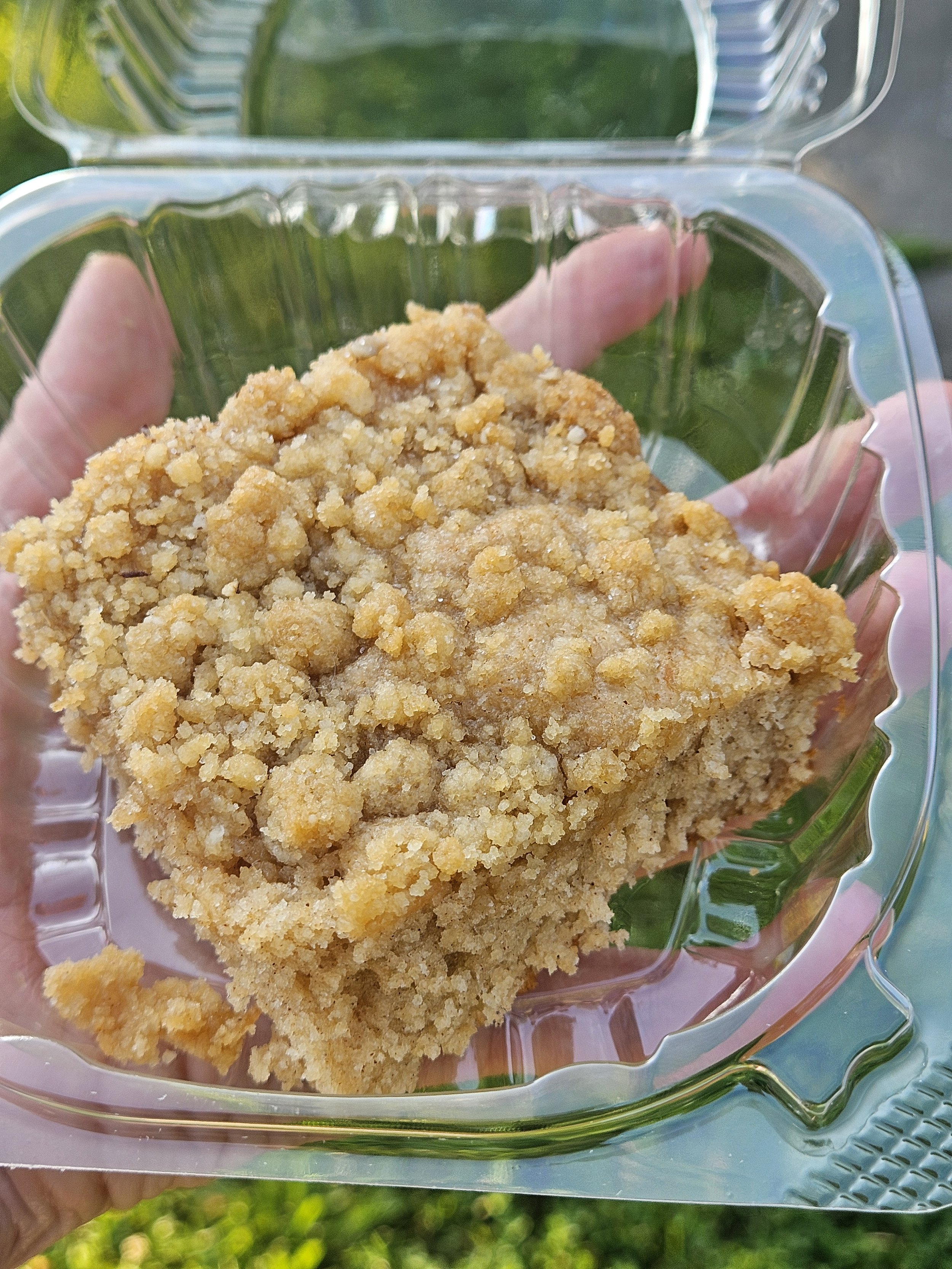 Classic Coffee Cake Slice