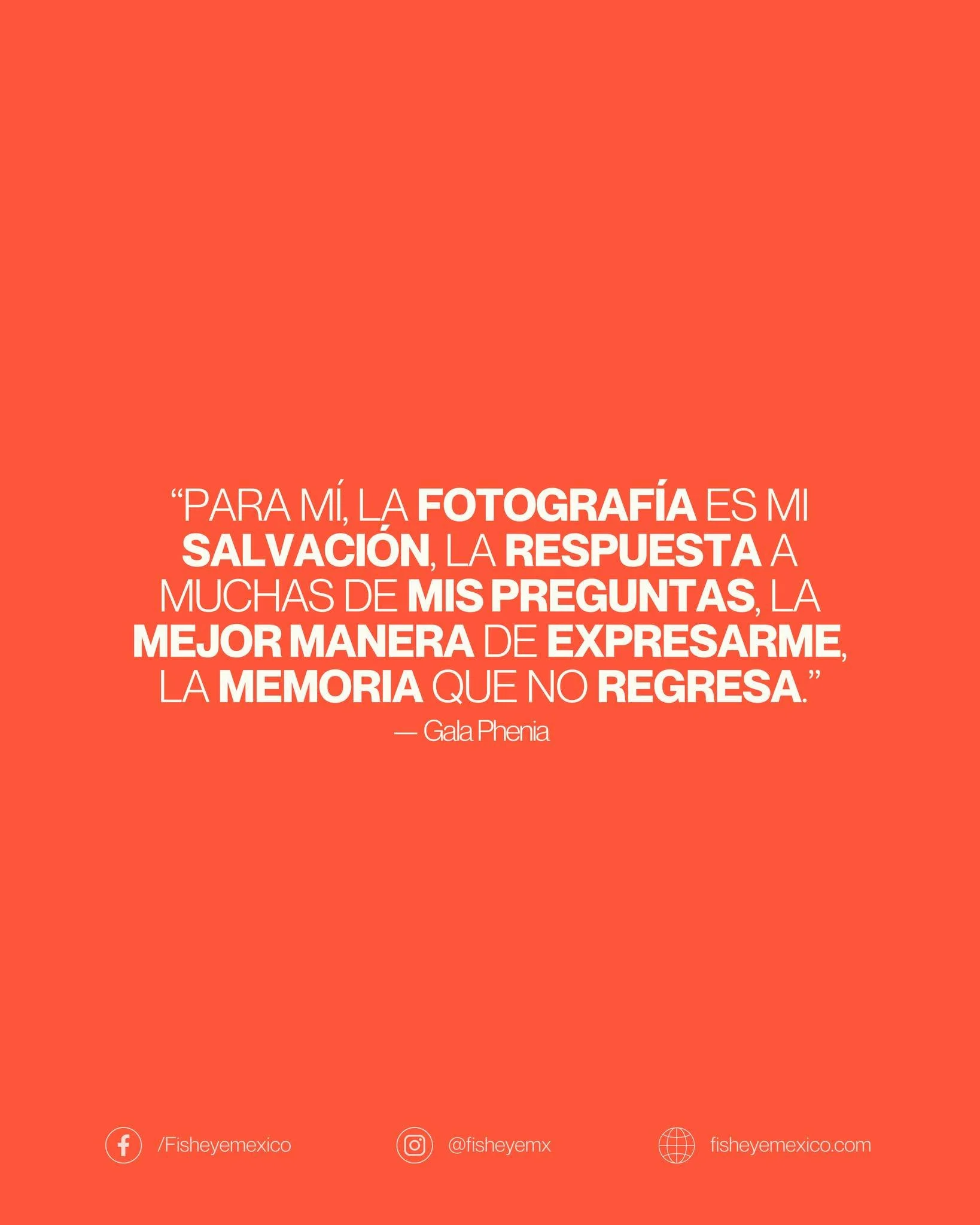 🕊️ La fotograf&iacute;a para Gala Phenia

Para Gala, la fotograf&iacute;a es un refugio y una forma de conexi&oacute;n. Es su manera de expresar lo que las palabras no alcanzan, de encontrar respuestas y de guardar memorias que el tiempo intenta bor