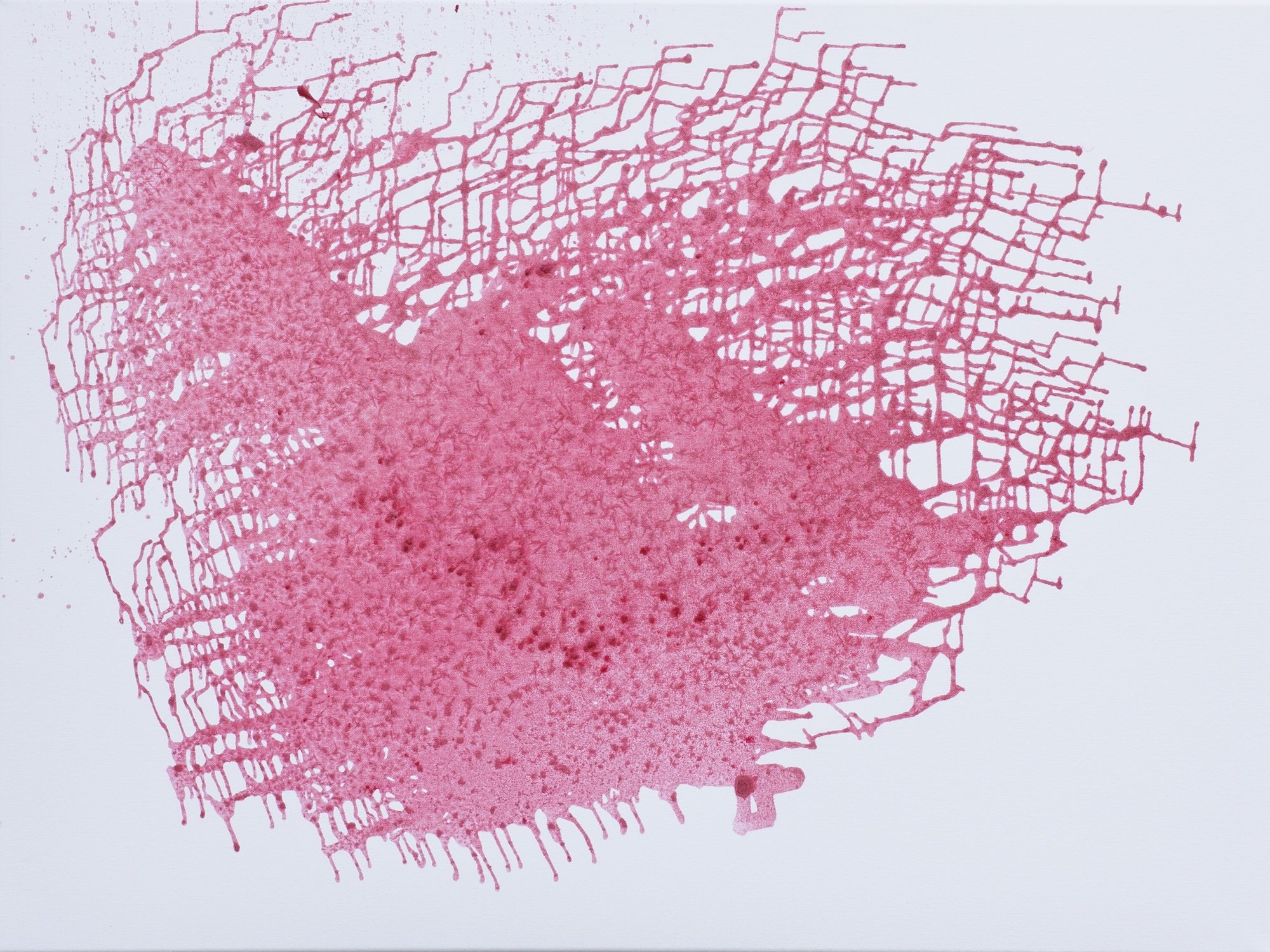 Dissolution of the Balloon 2025 WEB.jpg