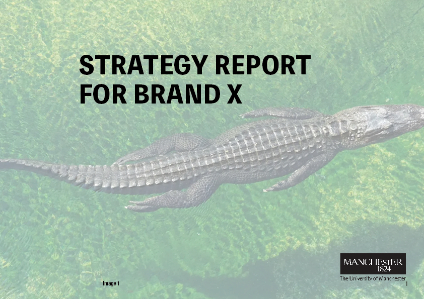 Stragety report for sustainable alternative exotic skins company (Brand X)