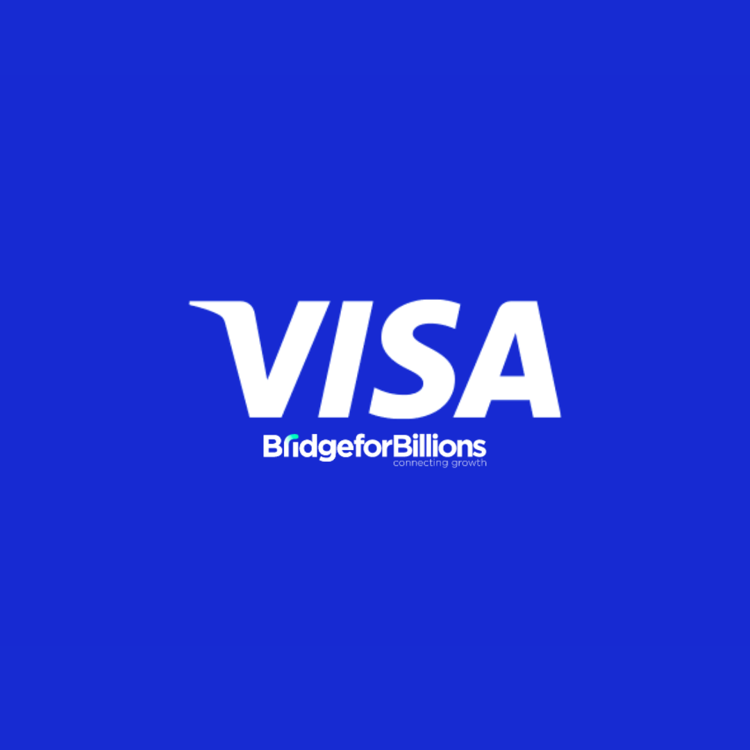 Visa Bridge for Billions - US Cohort 2023