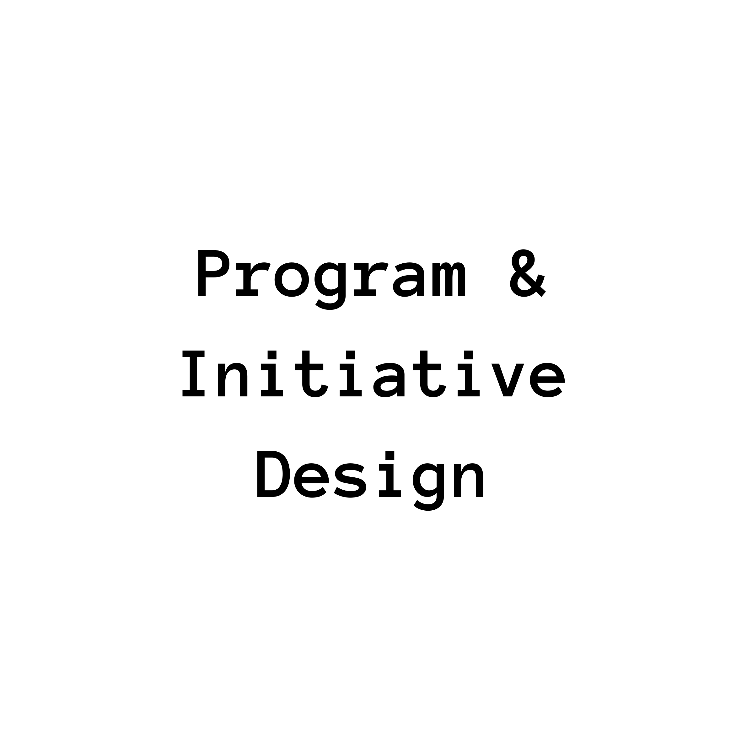 Program & Initiative Design Consulting Services