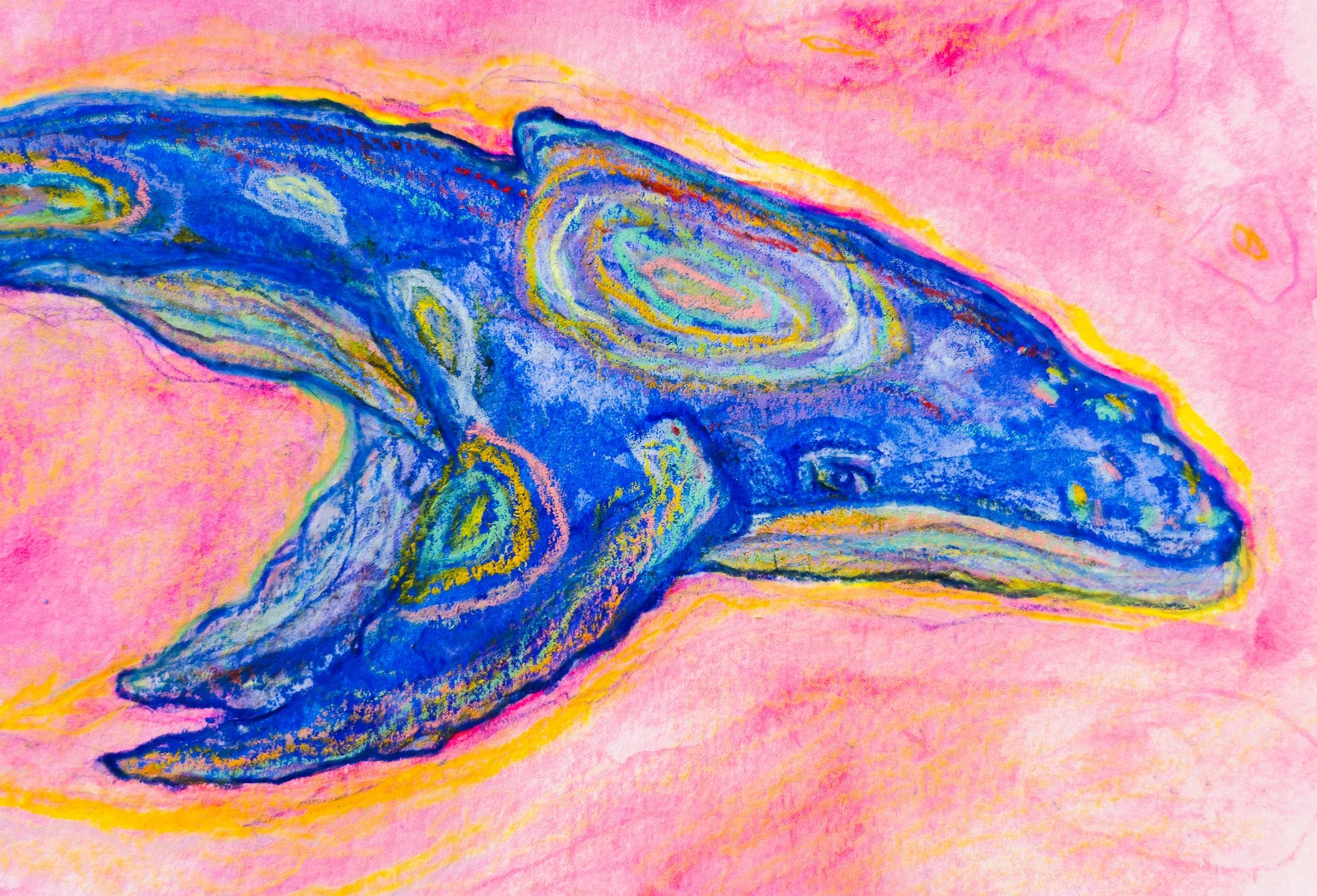 Colorful stylized drawing of a whale in shades of blue, with accents of yellow and pink, against a pink background.