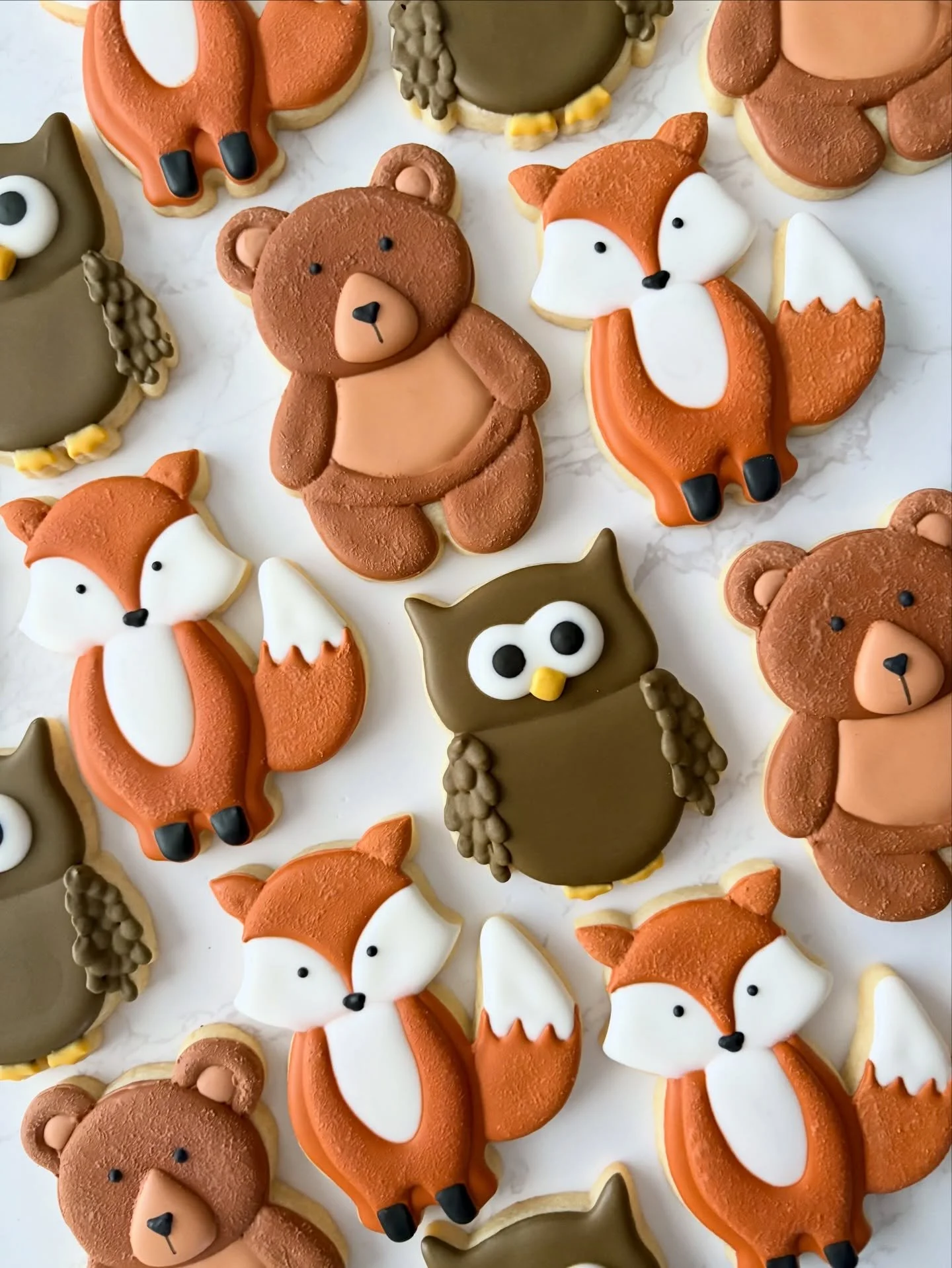 Just some cute little woodland animals 🙃

#sugarcookies #royalicing #woodland #woodlandcookies #TheSweetRun