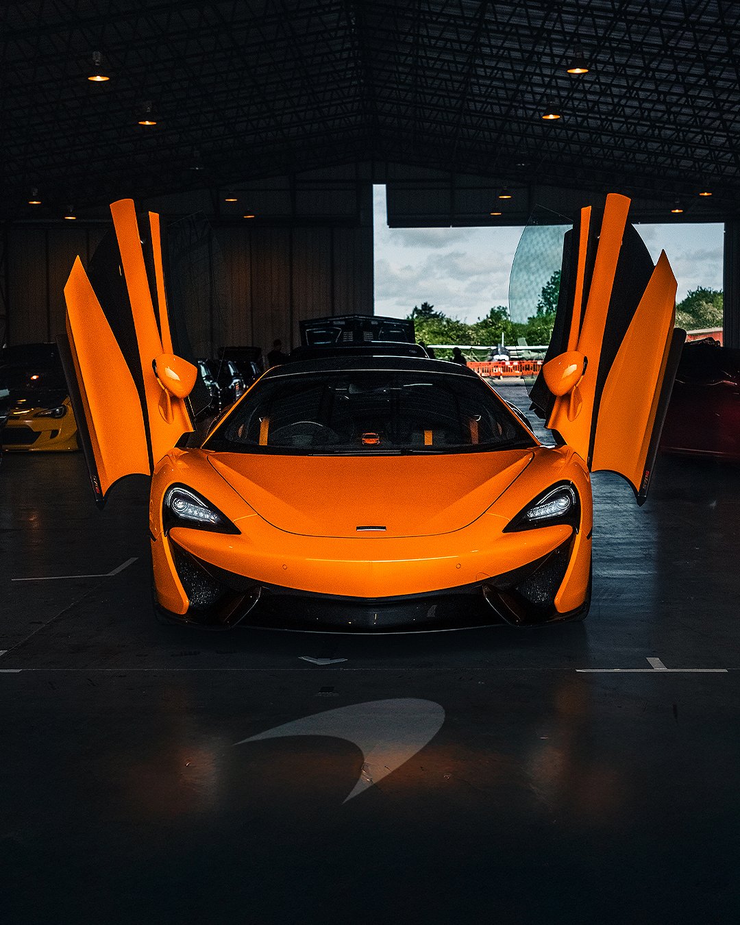 Papaya.jpg