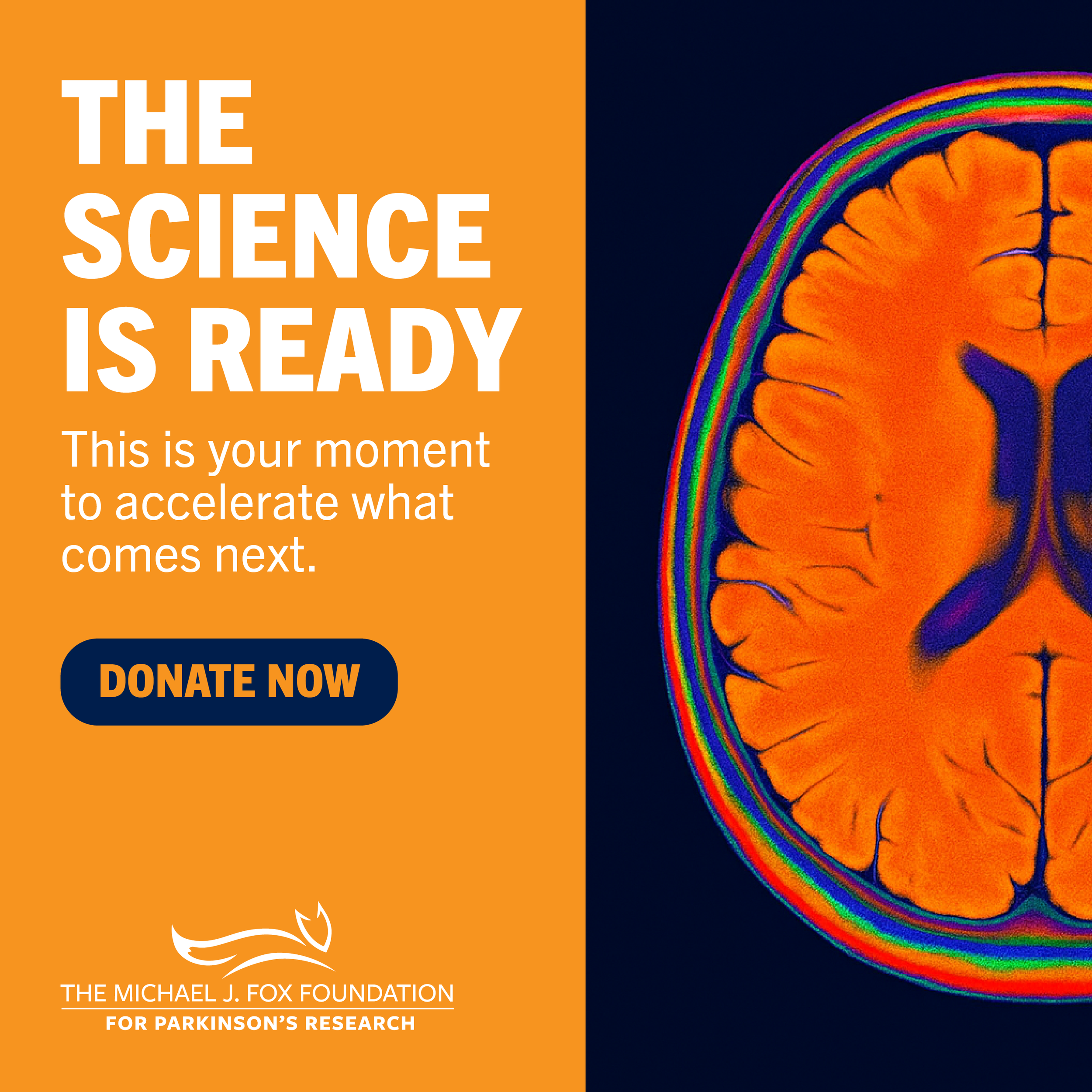 Donate-V4-1400@2x.png