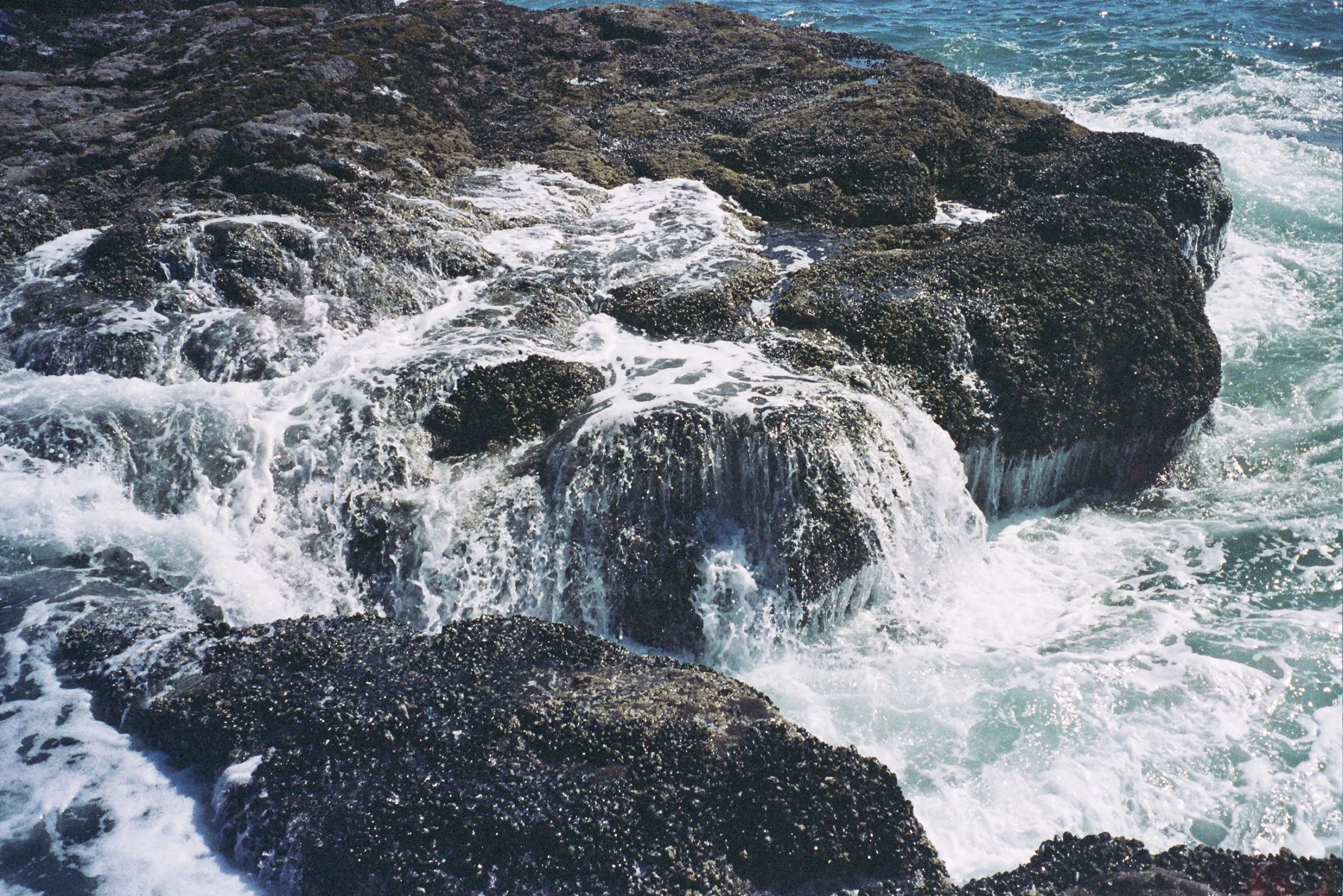 __8_0117.JPG