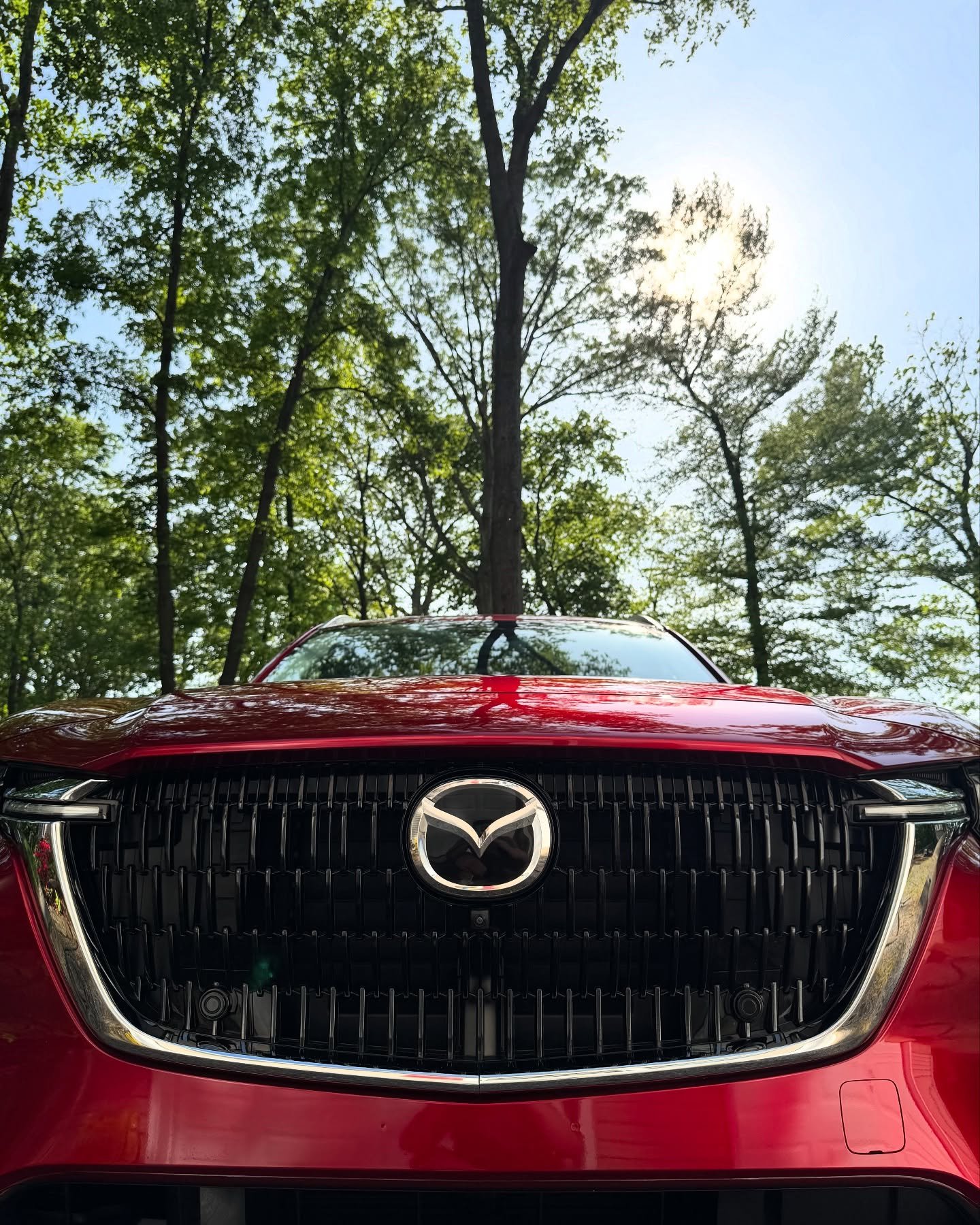 Red-y or not, here we shine!This Mazda SUV just left our spa looking truck-ulously good!🌟
Don’t let your car stay so-lackin’ hit us up!
📞 Call Now for a glow-getter
Call us 443-646-3403