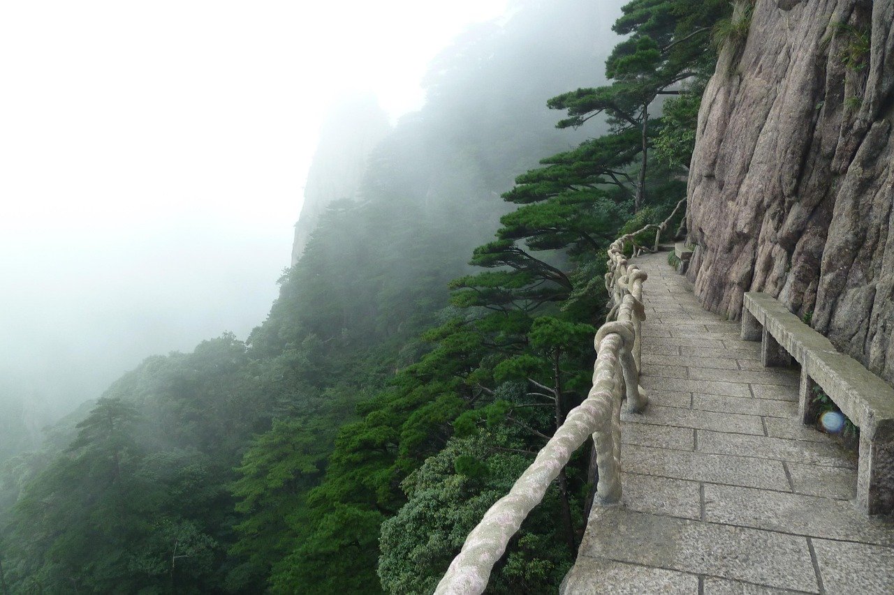 Narrow Path