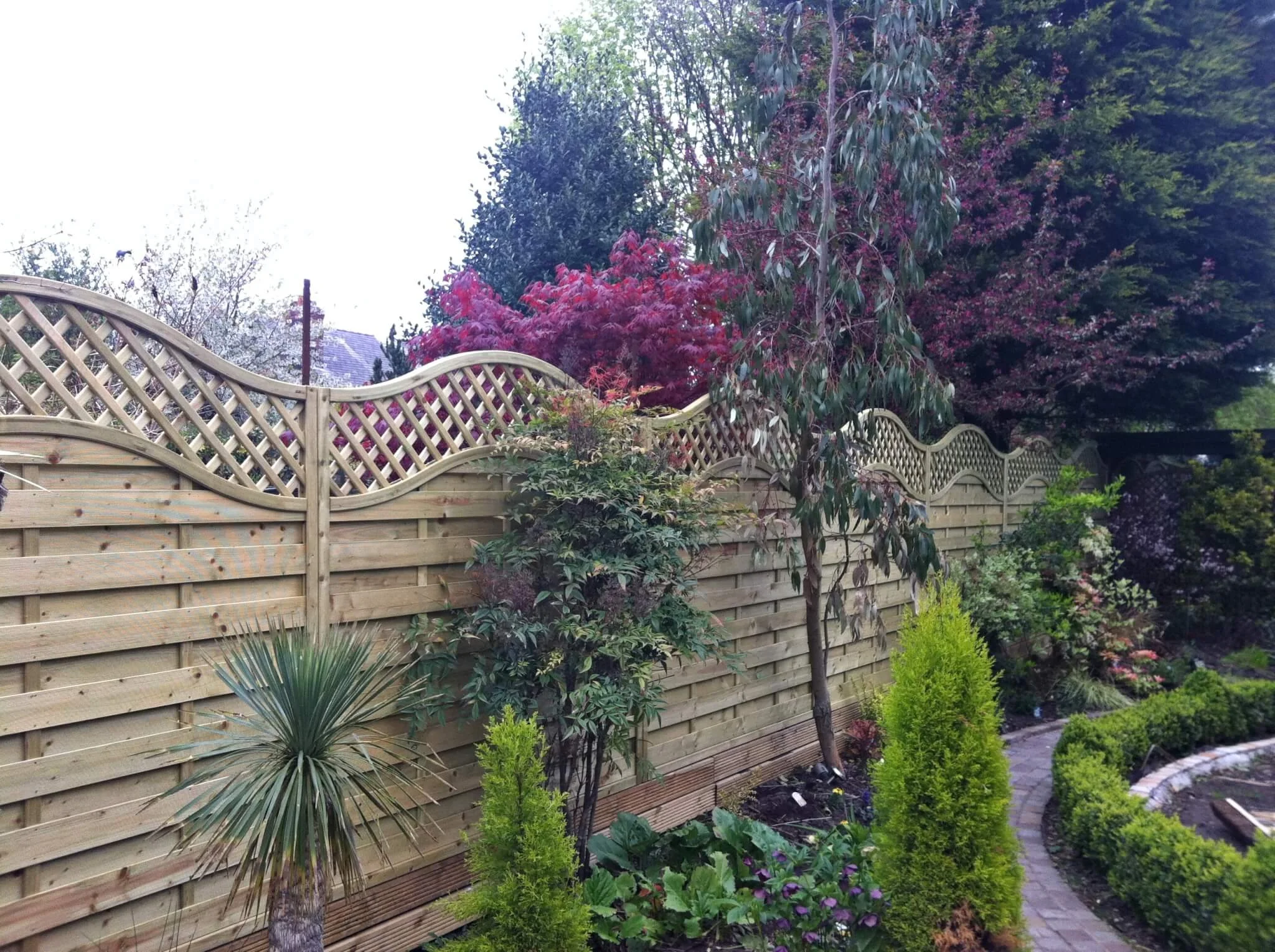 A garden with a wooden lattice fence, various green plants, shrubs, and trees, including some with pink and red blossoms, along a curved stone pathway.