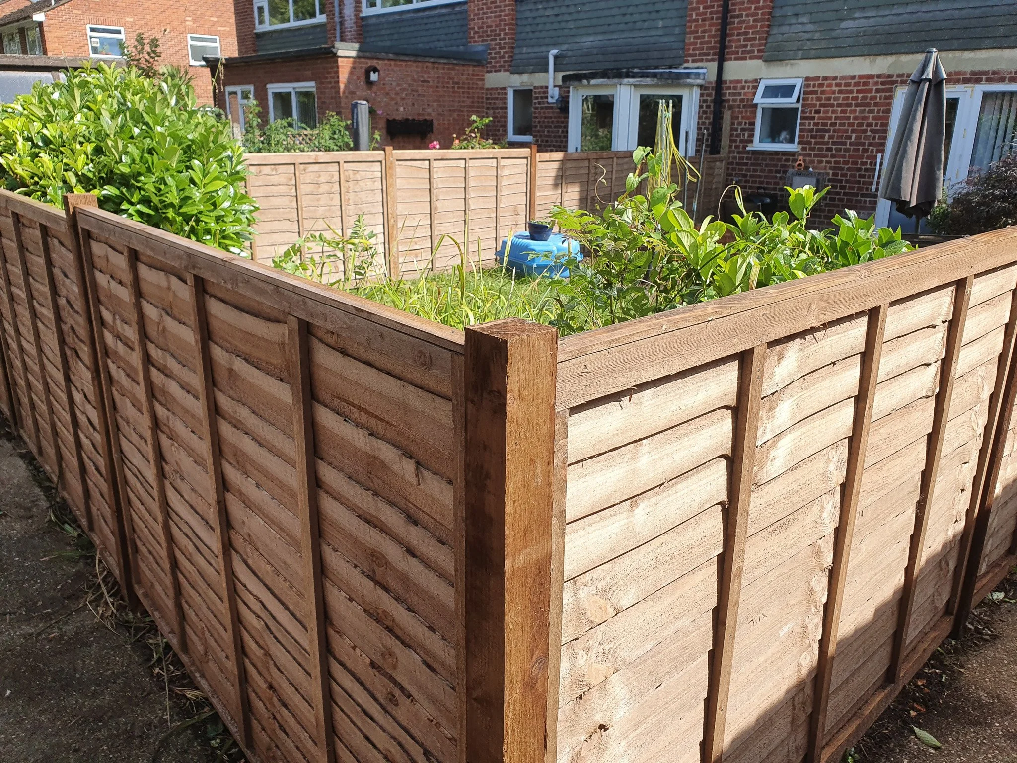 A backyard garden enclosed by a wooden fence, with green plants and bushes, a blue water container, an umbrella, and residential buildings in the background.