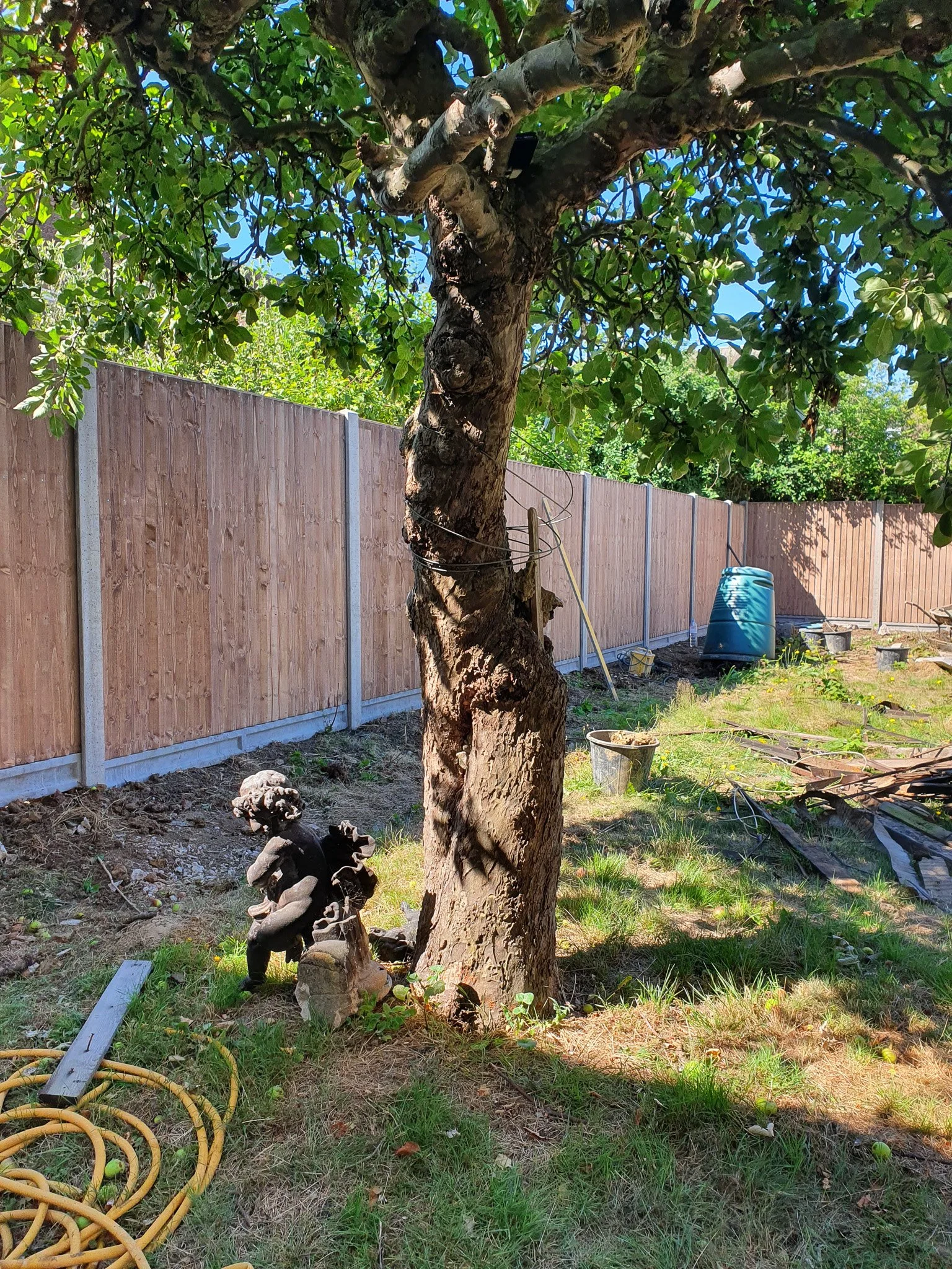 Backyard with a large tree, a wooden fence, and gardening tools, a yellow garden hose, a blue rain barrel, and a creeping plant on the ground.