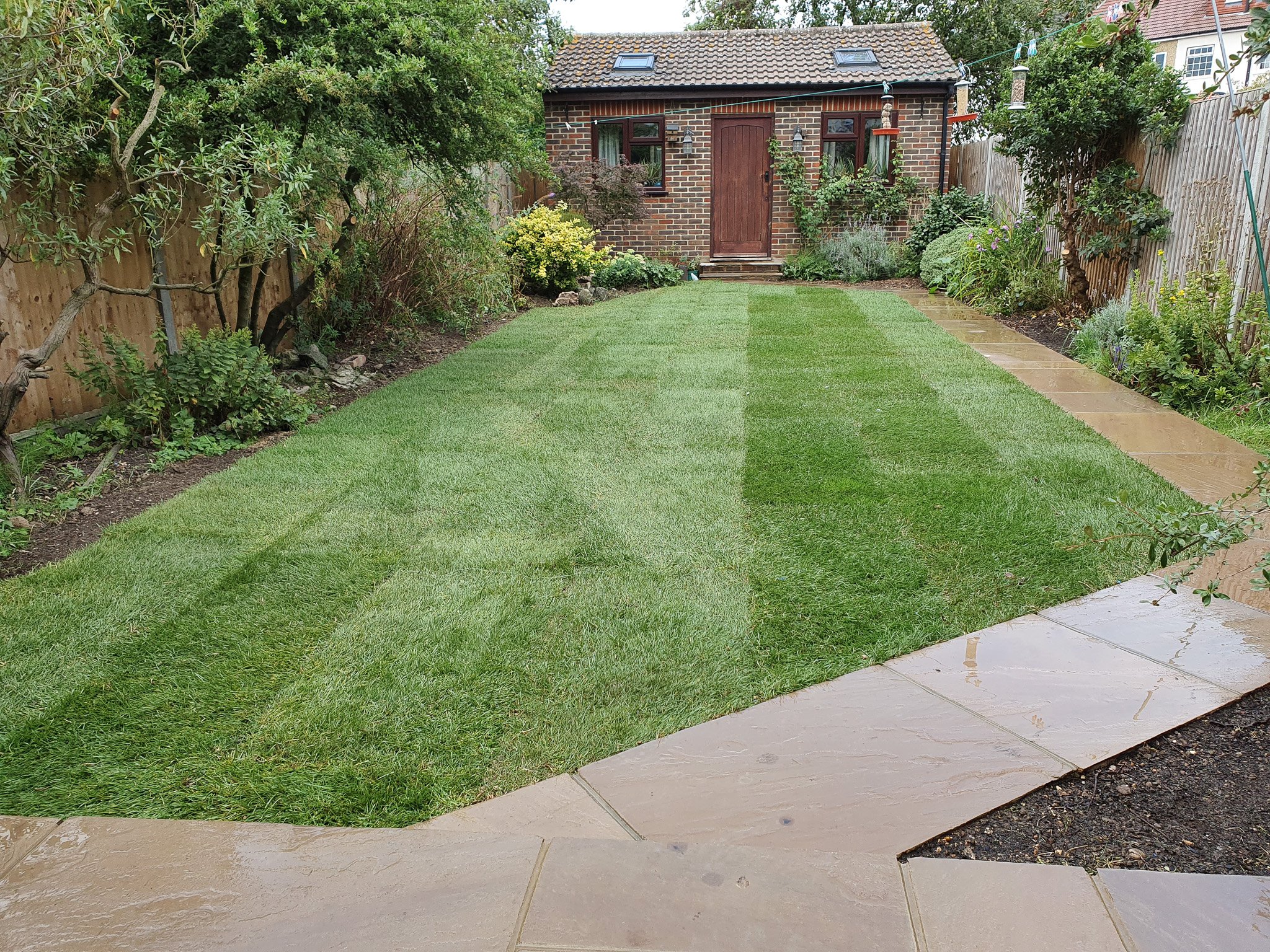 new lawn