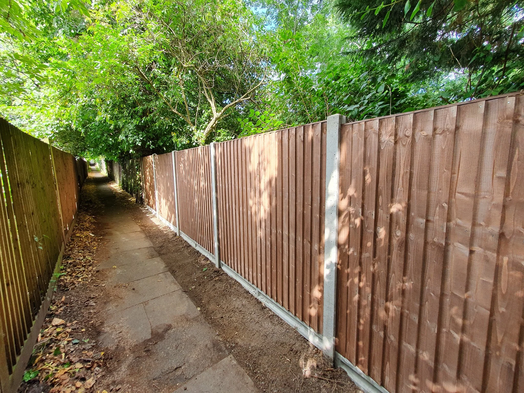 A narrow pathway with concrete slabs, flanked by a tall wooden fence on the right and a shorter wall on the left, with green foliage and trees overhead.
